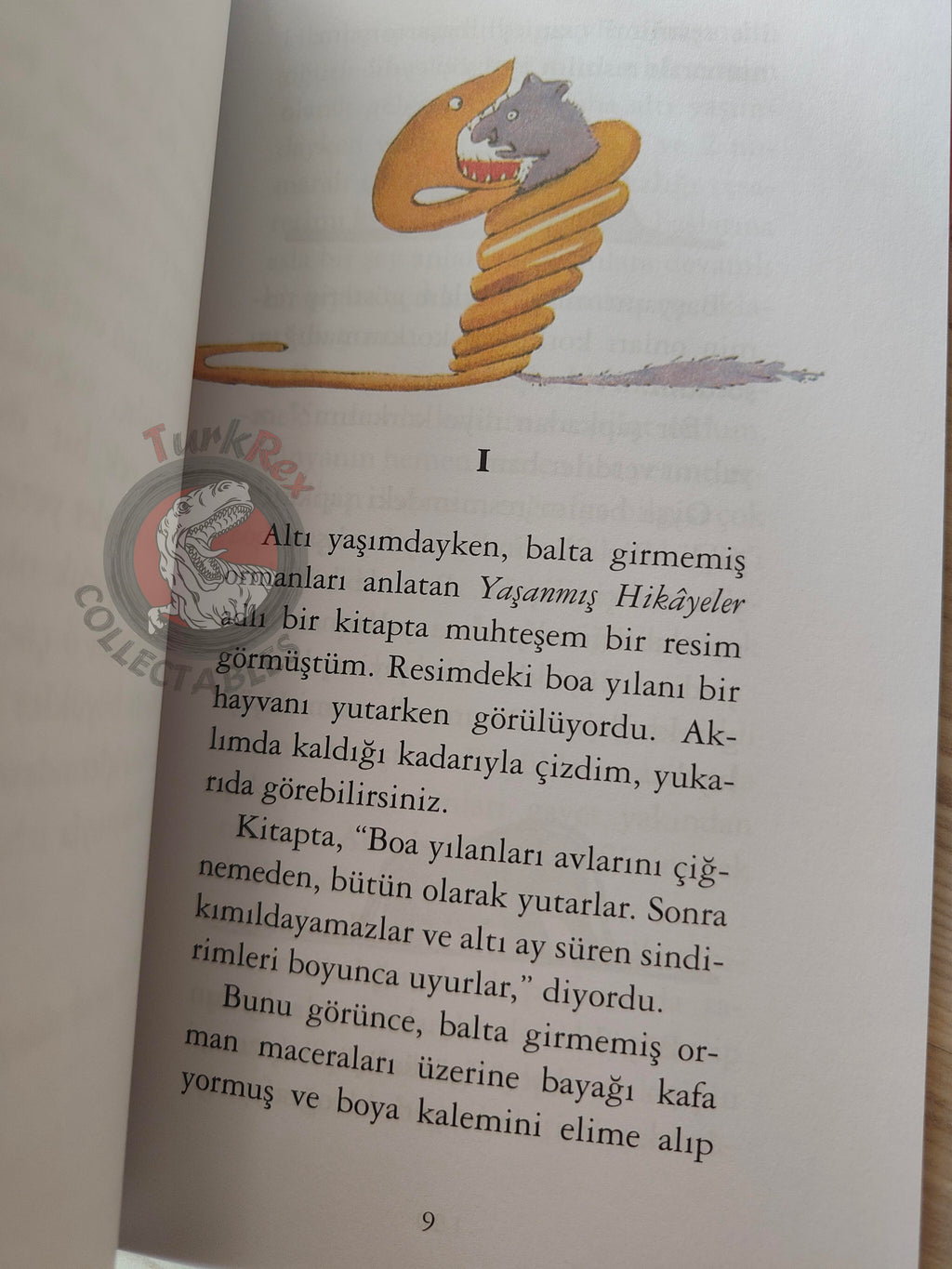 Antoine de Saint-Exupéry – Le Petit Prince 2015 Turkish Book Turkey Illustrated Little 2