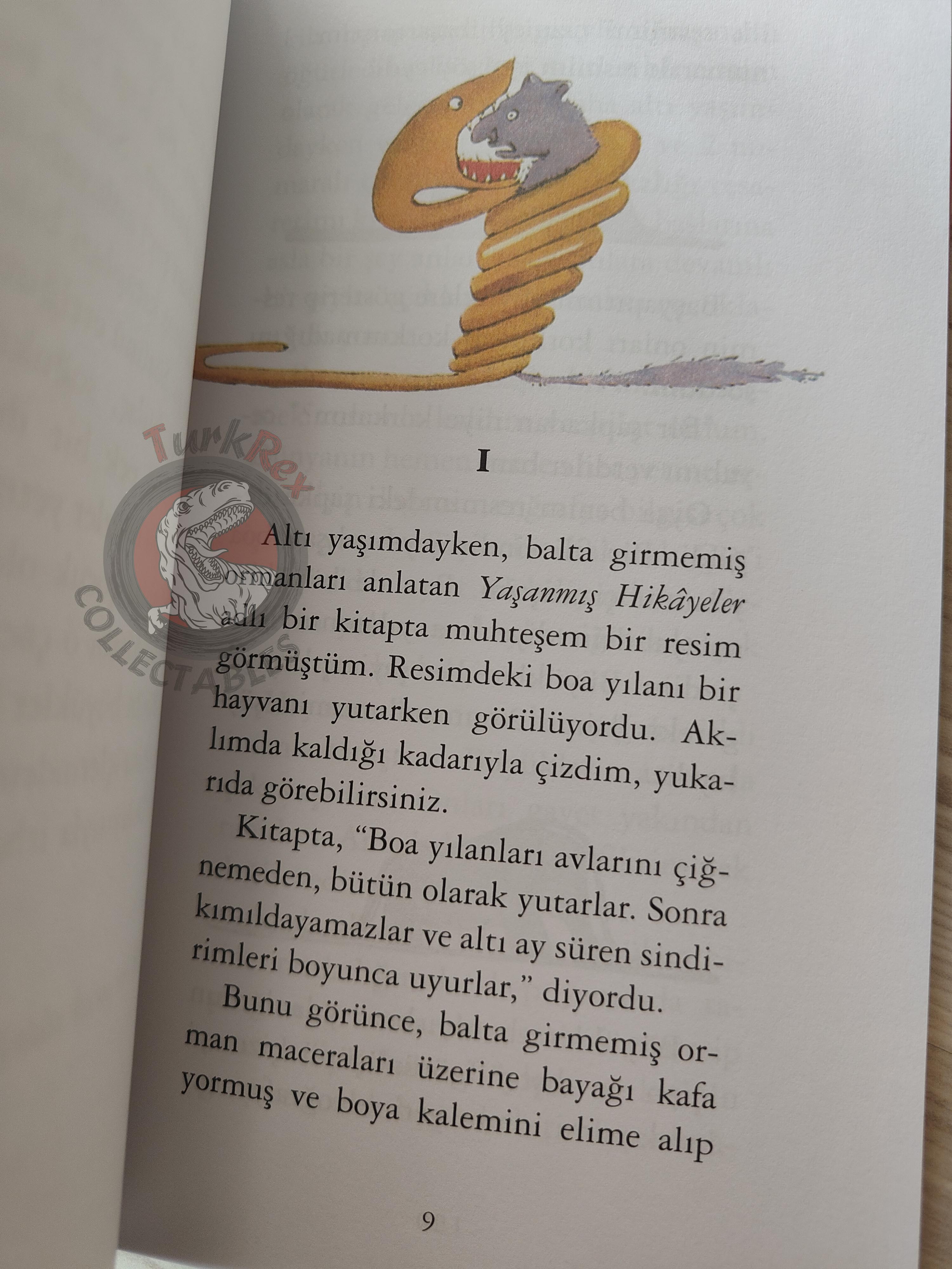 Antoine de Saint-Exupéry – Le Petit Prince 2015 Turkish Book Turkey Illustrated Little 2