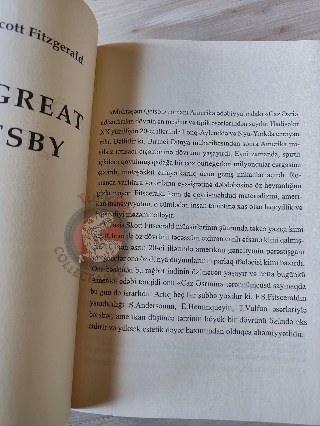 F. Scott Fitzgerald  – The Great Gatsby 2013 Azerbaijani Book Azerbaijan