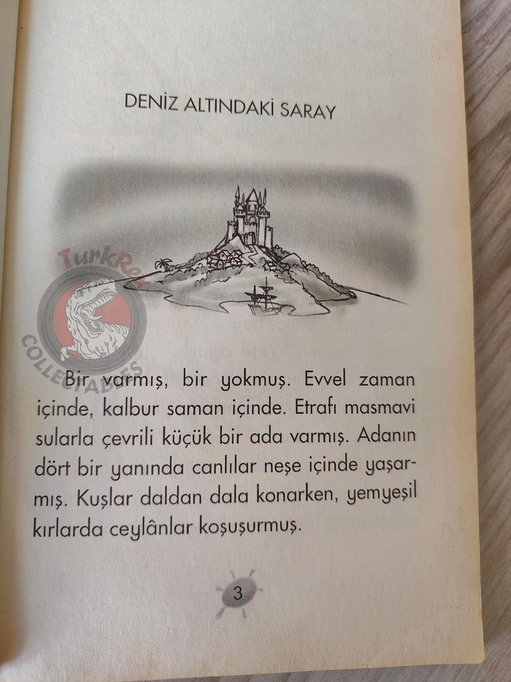Hans Christian Andersen – The Little Mermaid 2003 Turkish Book Turkey Illustrated