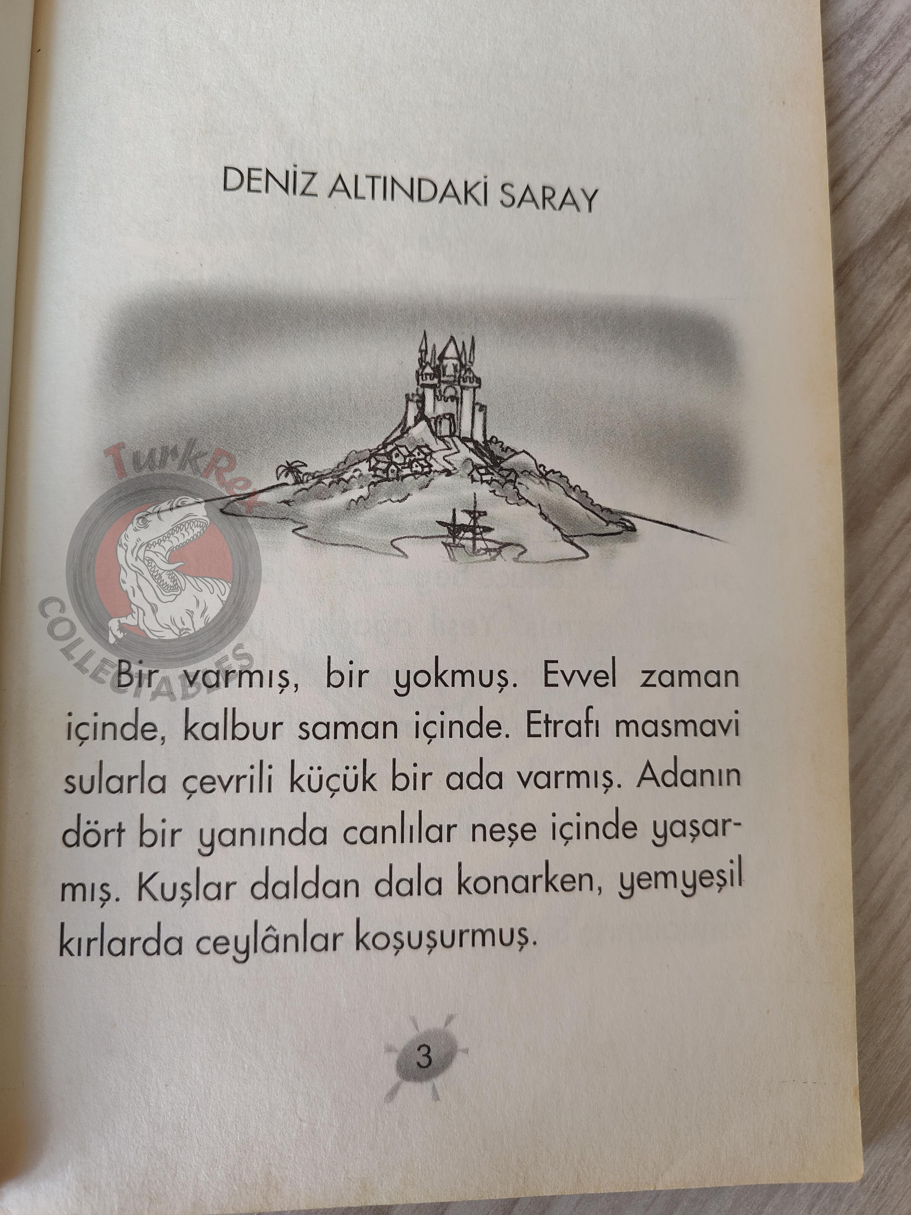 Hans Christian Andersen – The Little Mermaid 2003 Turkish Book Turkey Illustrated