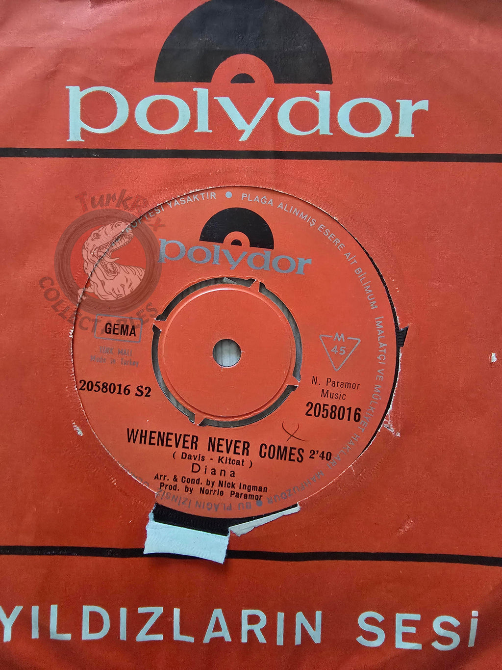 Diana – I'd Do It All Again / Whenever Never Comes 7" Turkish Pressing Vinyl Turkey Edition