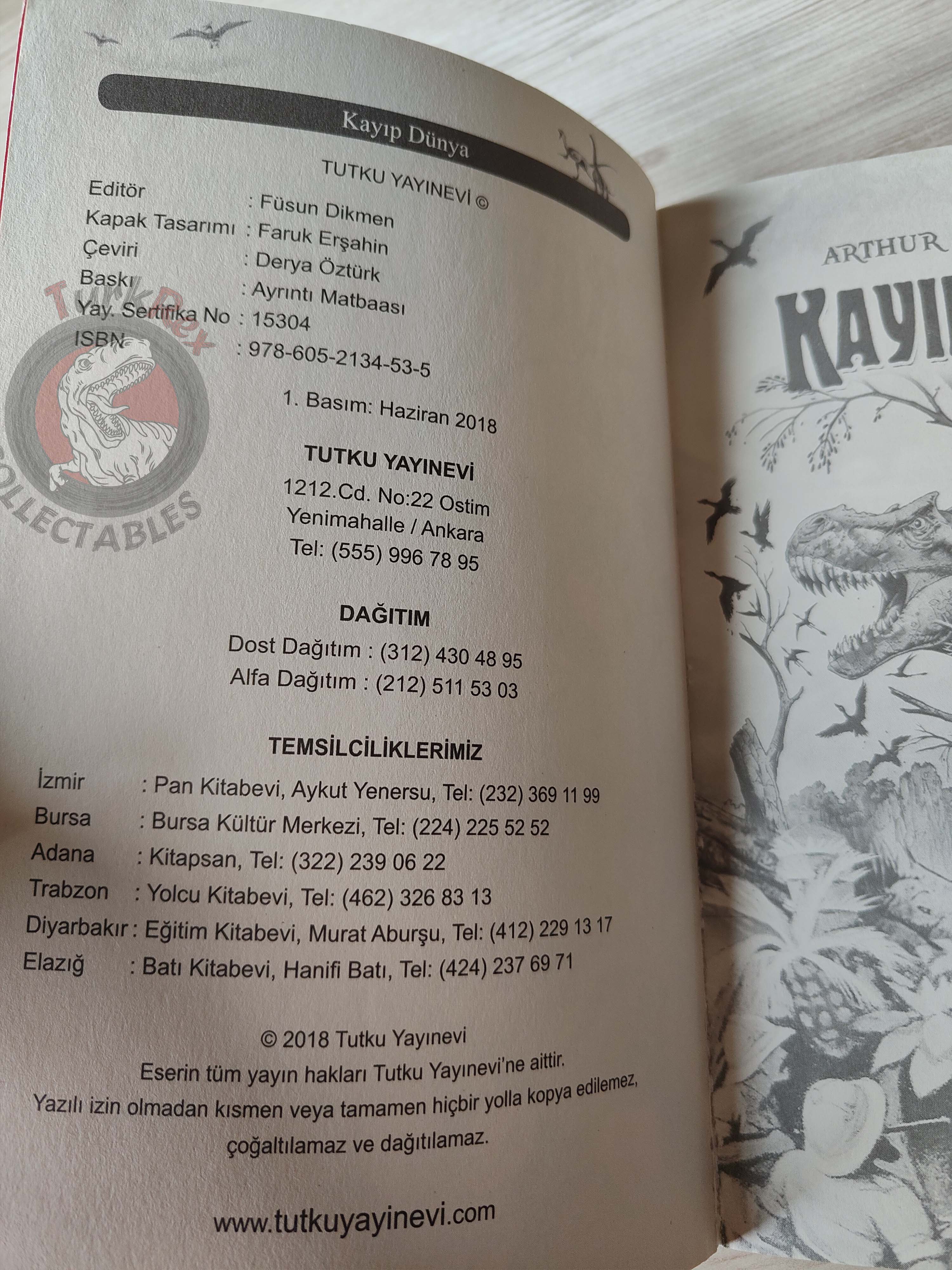 Arthur Conan Doyle – The Lost World 2018 Turkish Book Turkey Illustrated