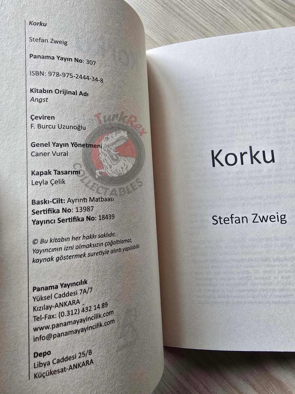 Stefan Zweig – Fear Turkish Book Turkey Angst