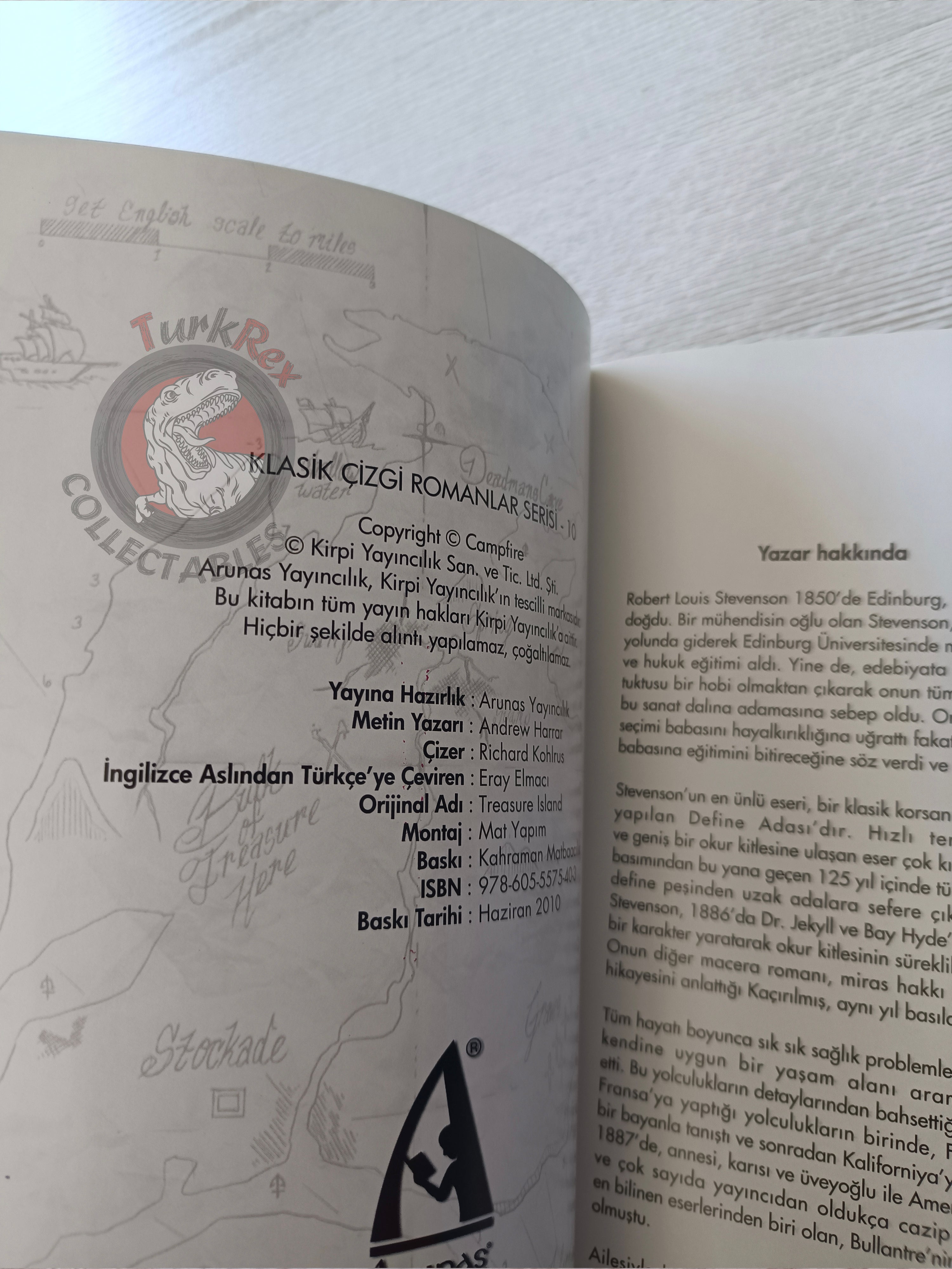 Treasure Island – Robert Louis Stevenson Turkish Comic Turkey Campfire Classics