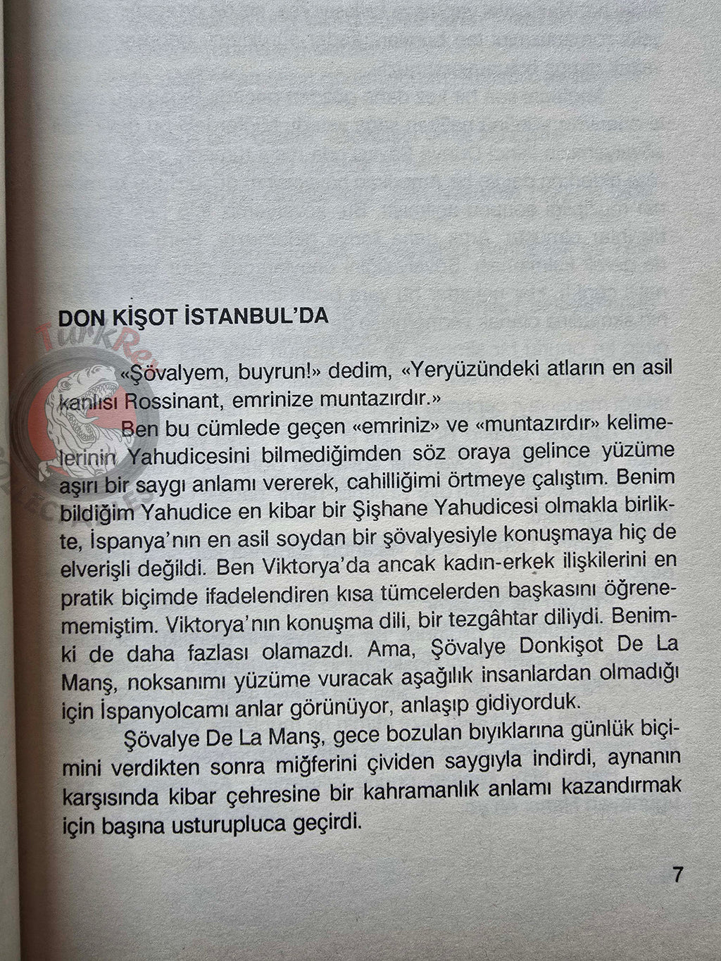 Don Quixote in Istanbul – Rıfat Ilgaz 2006 Turkish Book Turkey
