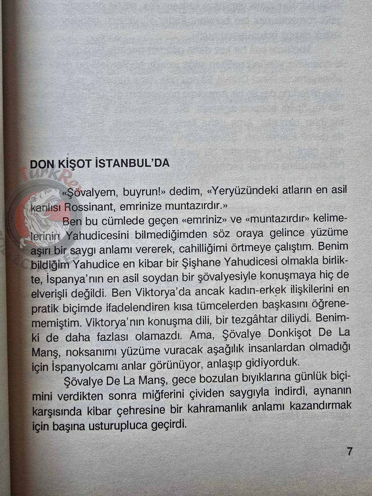 Don Quixote in Istanbul – Rıfat Ilgaz 2006 Turkish Book Turkey
