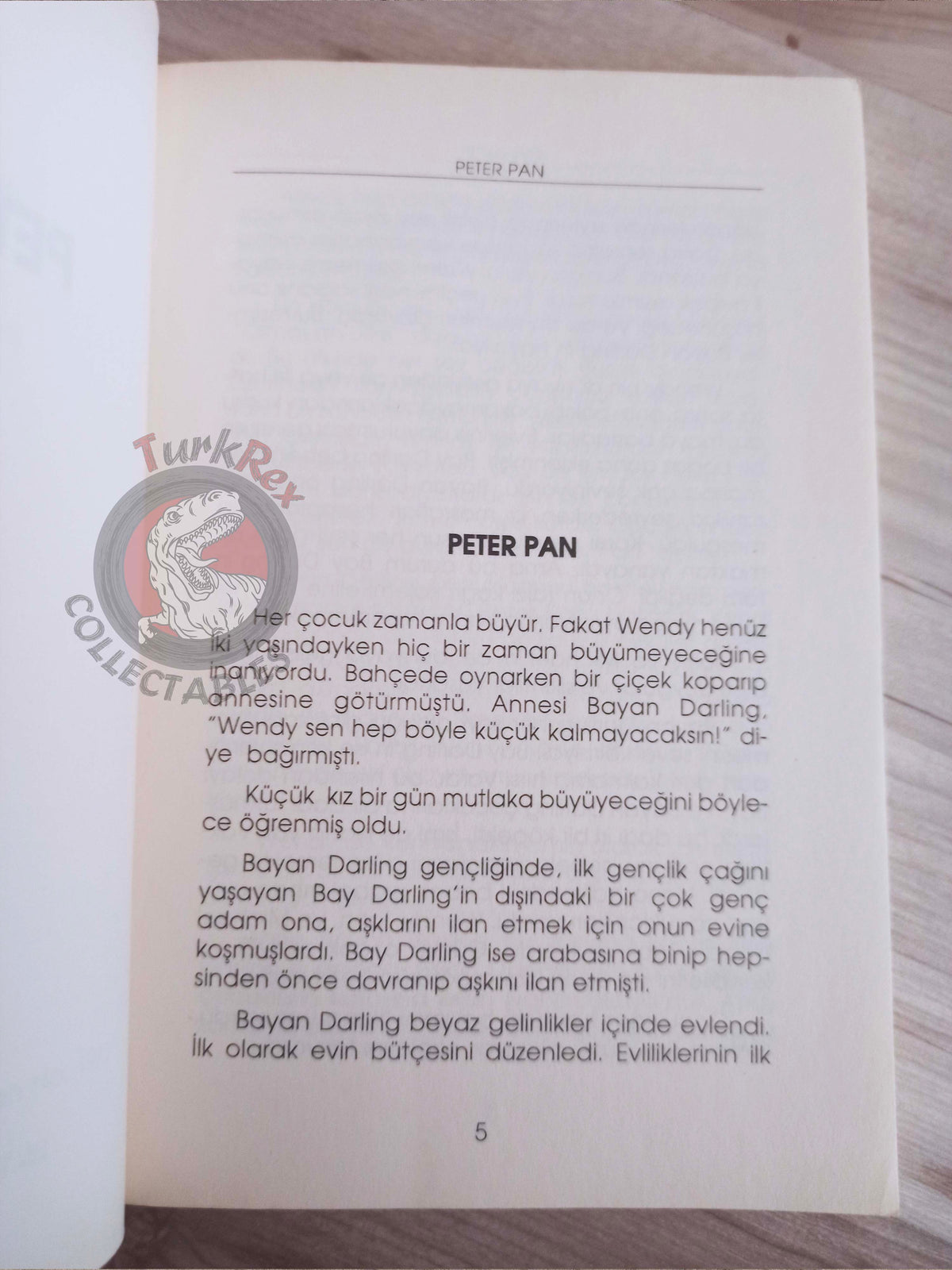 J. M. Barrie – Peter Pan 2005 Turkish Book Turkey Illustrated 3