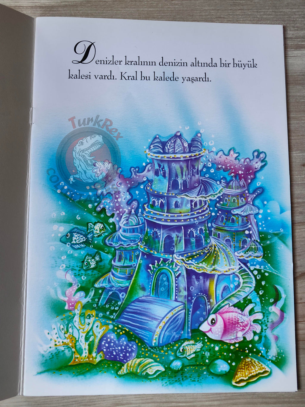 Hans Christian Andersen – The Little Mermaid 2000s Turkish Book Turkey Illustrated