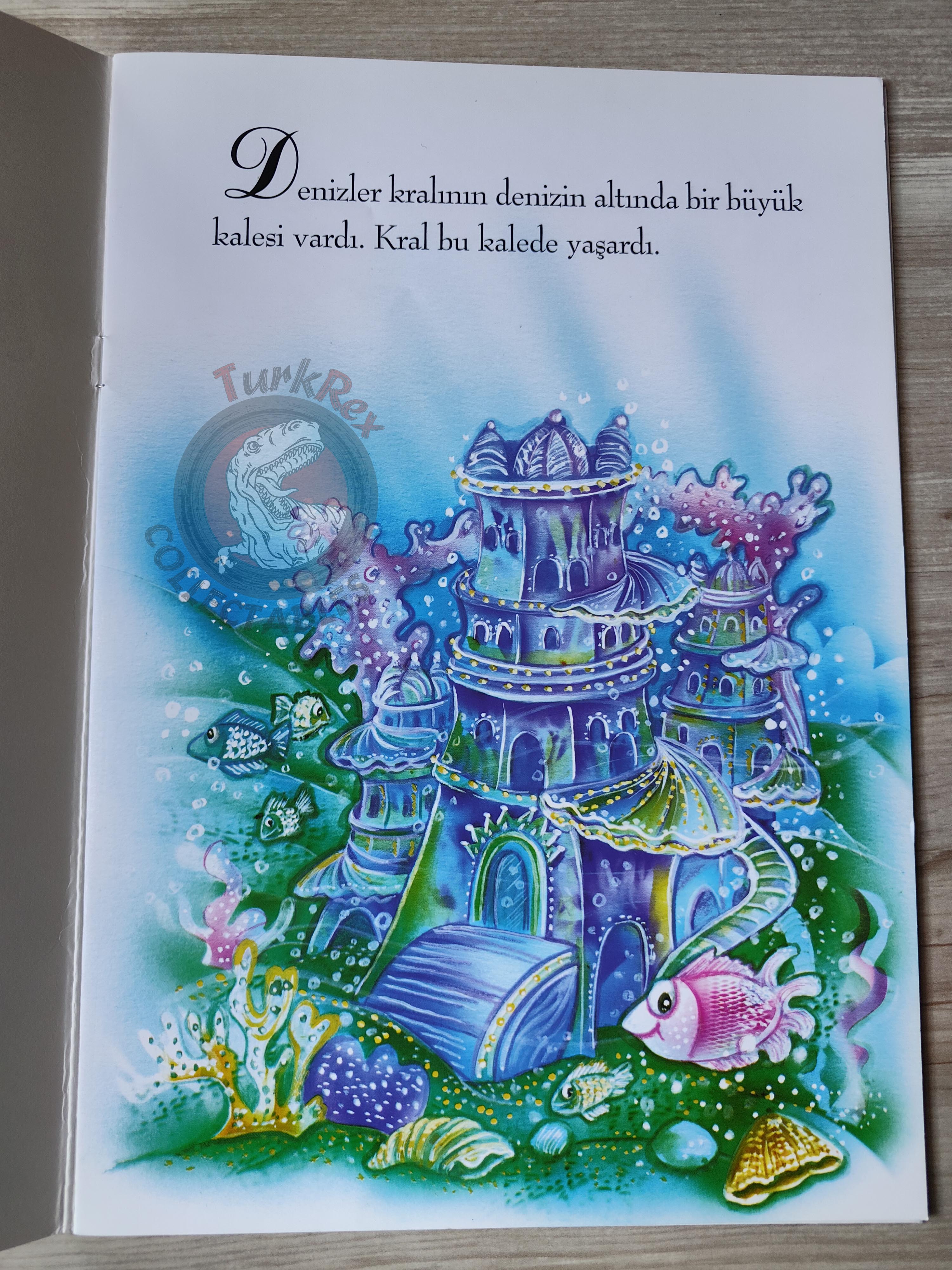 Hans Christian Andersen – The Little Mermaid 2000s Turkish Book Turkey Illustrated