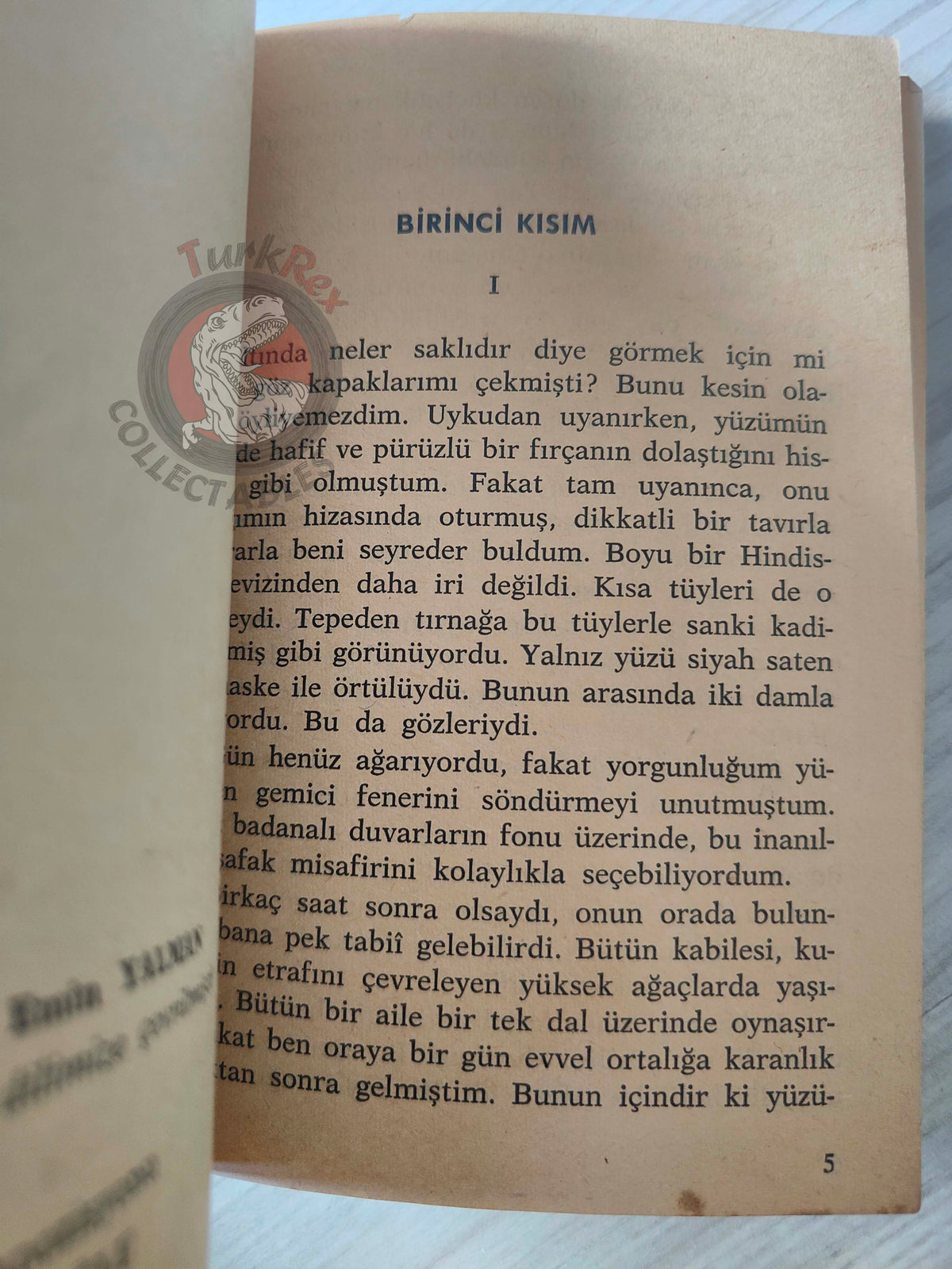 Joseph Kessel – The Lion  1964 Turkish Book Turkey