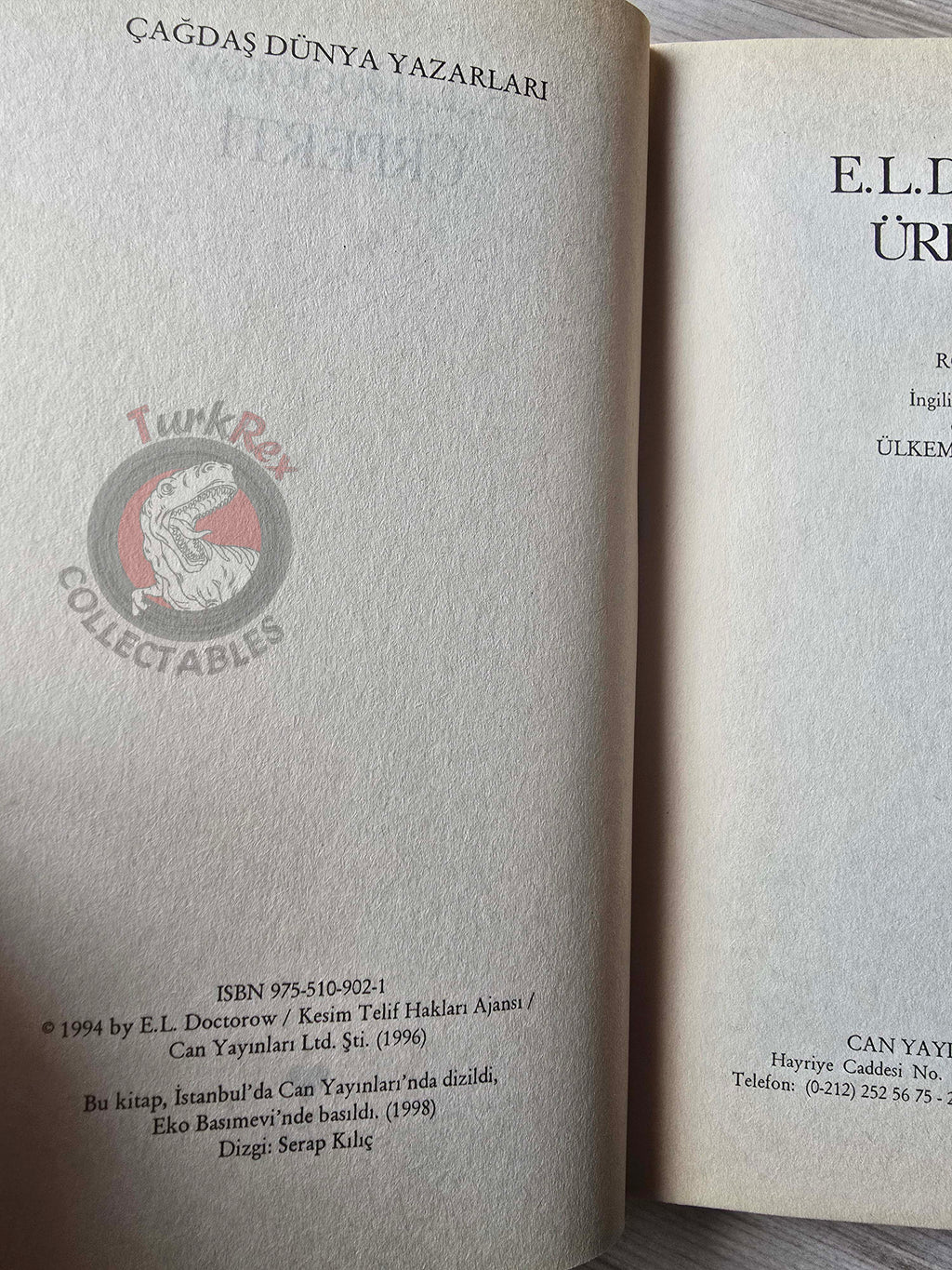 E. L. Doctorow – The Waterworks 1998 Turkish Book Turkey