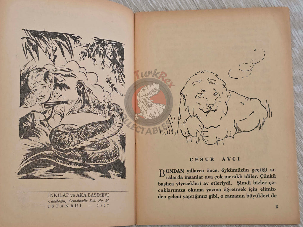Turkish Fairy Tales – The Brave Hunter 1977 Turkish Book Turkey Illustrated