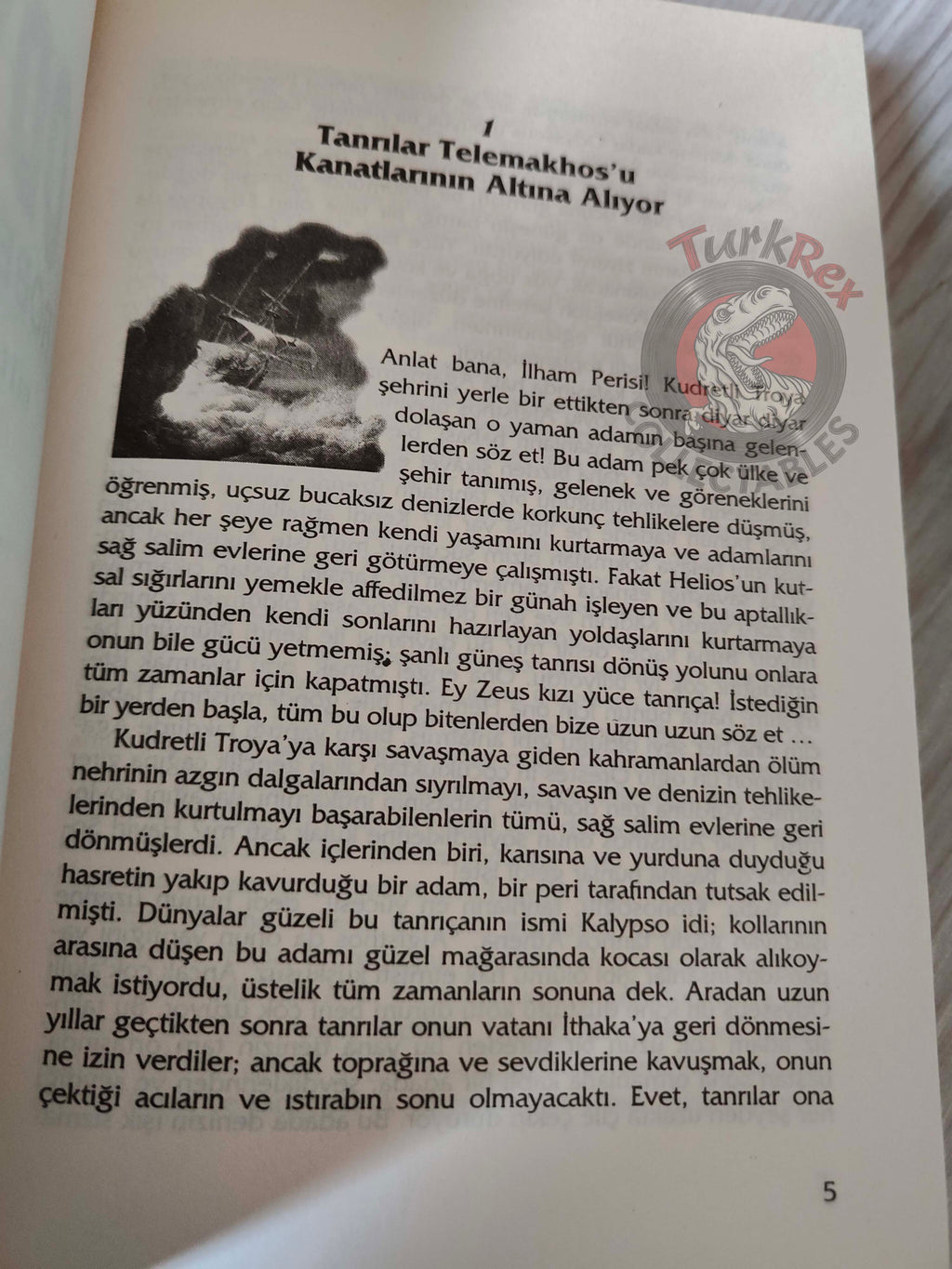 Robert Krugmann – The Odyssey 2004 Turkish Book Turkey