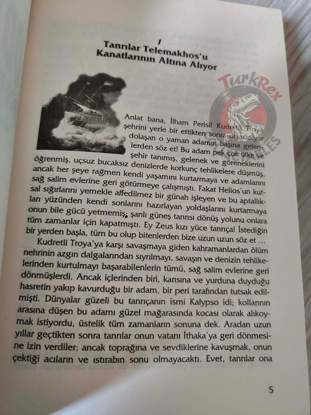 Robert Krugmann – The Odyssey 2004 Turkish Book Turkey