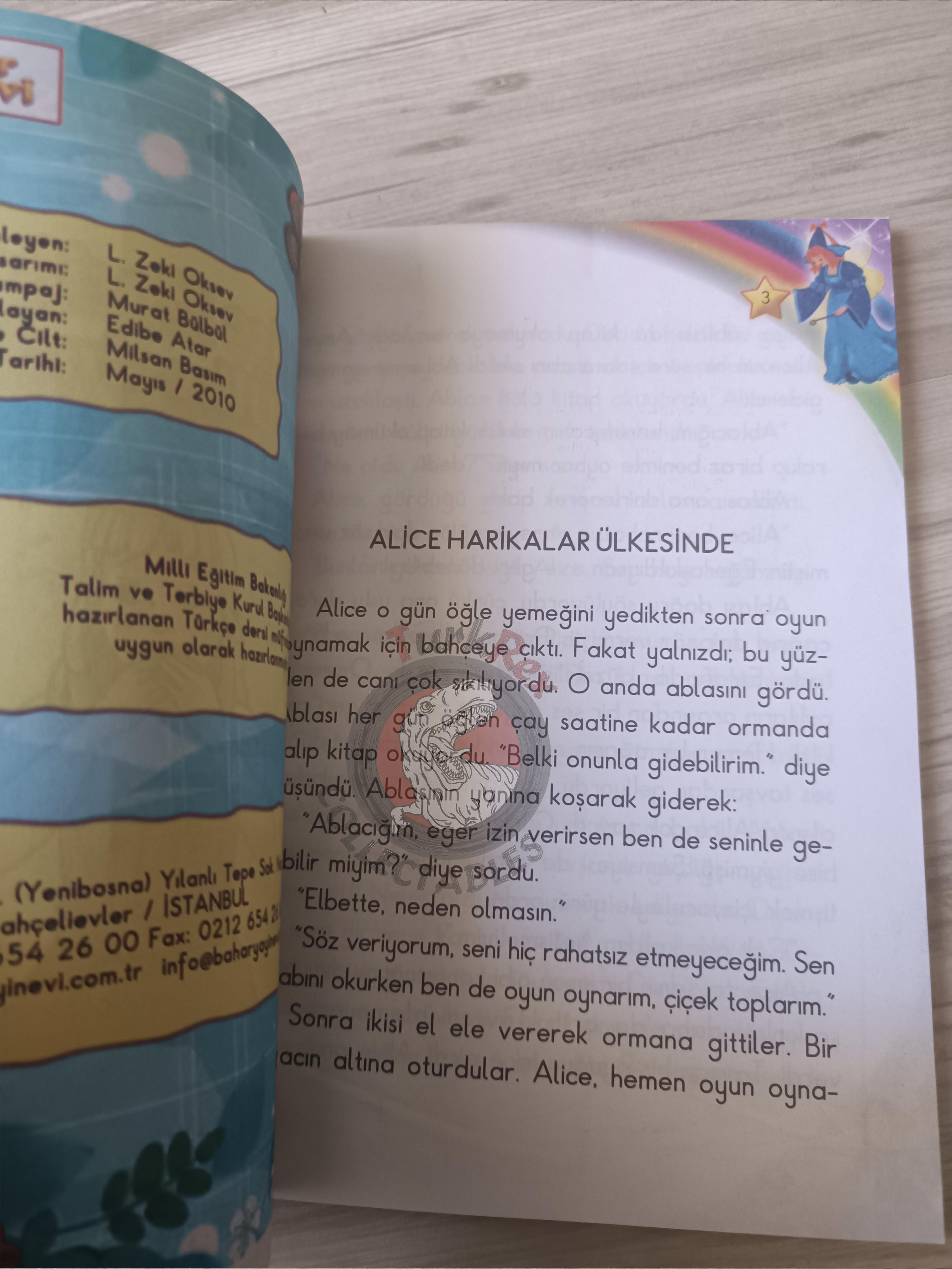 Lewis Carroll – Alice in Wonderland 2010 Turkish Book Turkey Illustrated 2