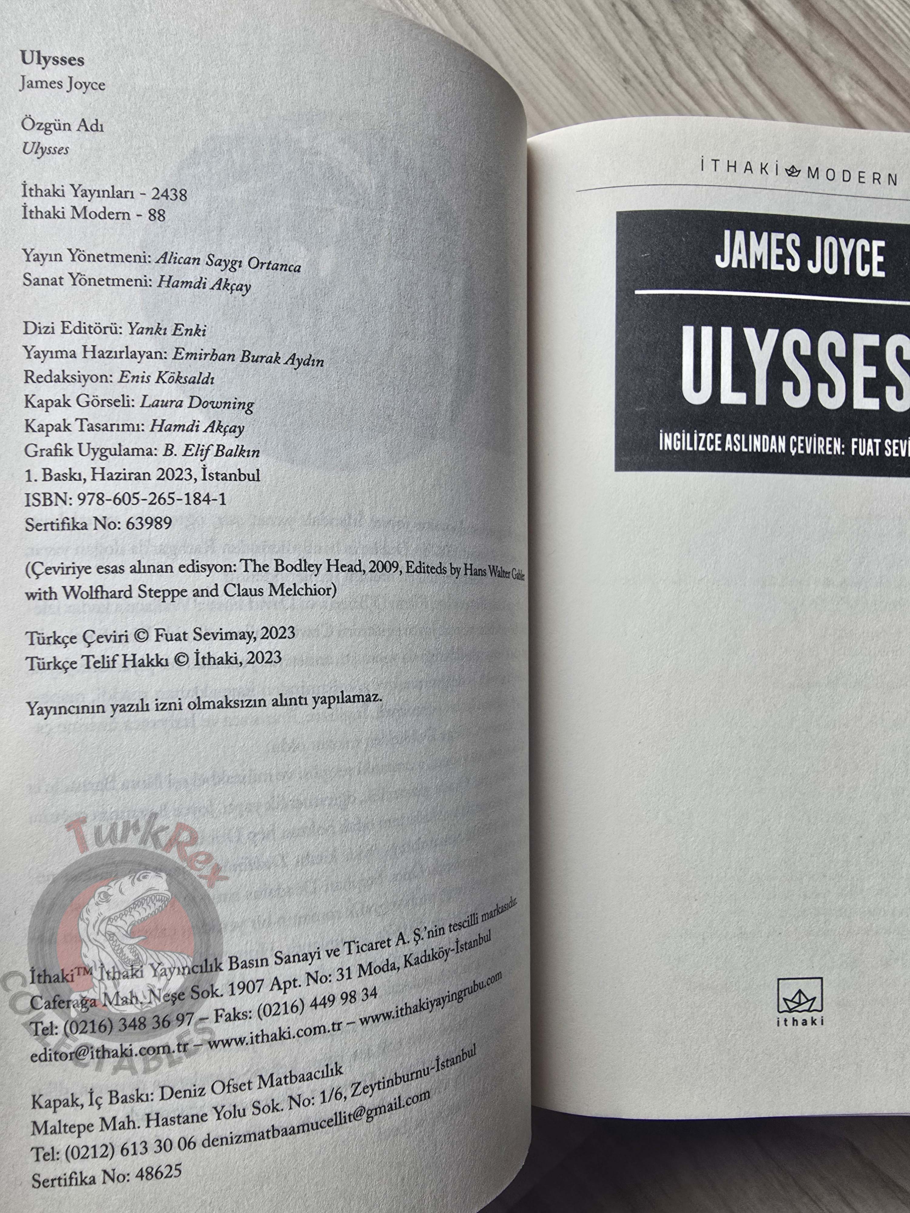 James Joyce – Ulysses Turkish Book Turkey