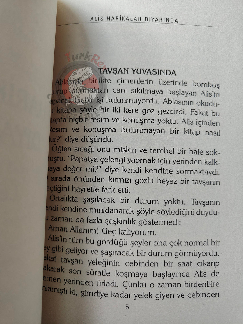 Lewis Carroll – Alice in Wonderland 2006 Turkish Book Turkey Illustrated