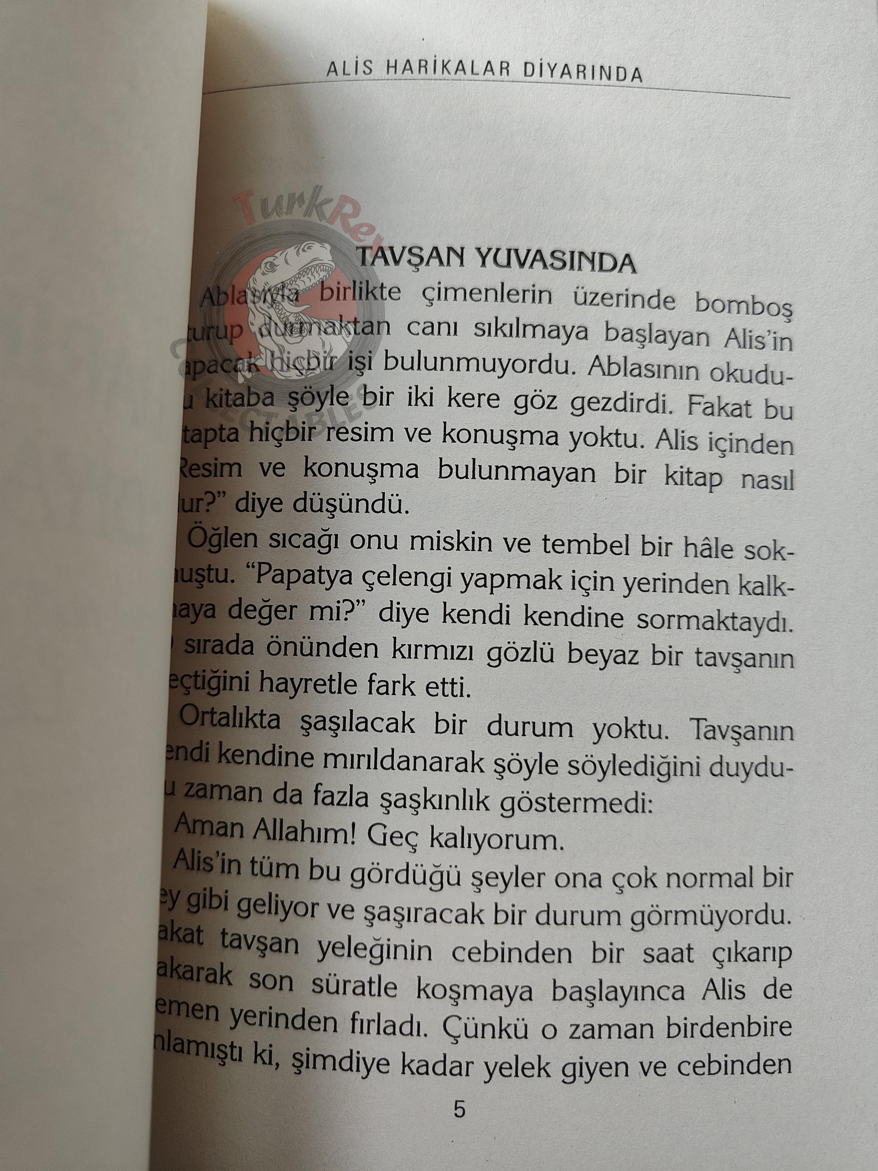 Lewis Carroll – Alice in Wonderland 2006 Turkish Book Turkey Illustrated