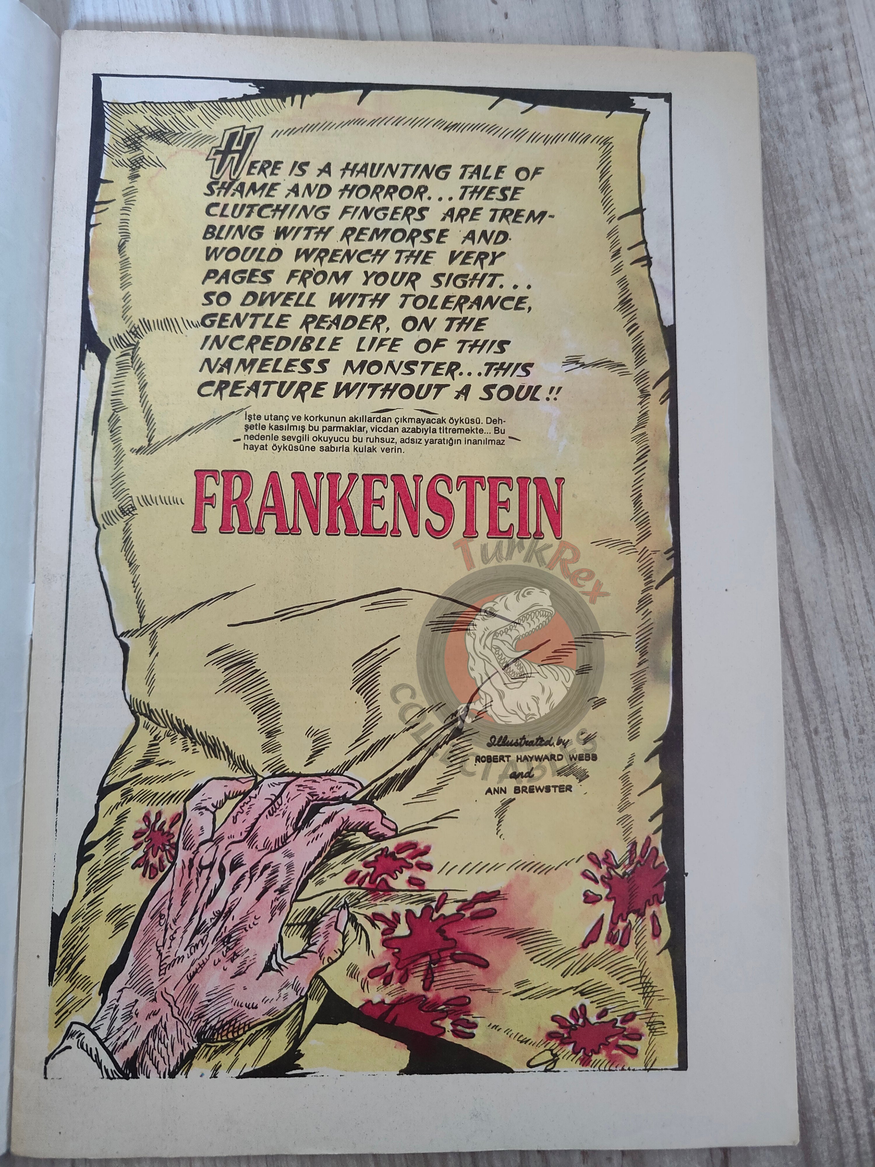 Frankenstein – Mary Shelley Turkish Comic Turkey Classics Illustrated