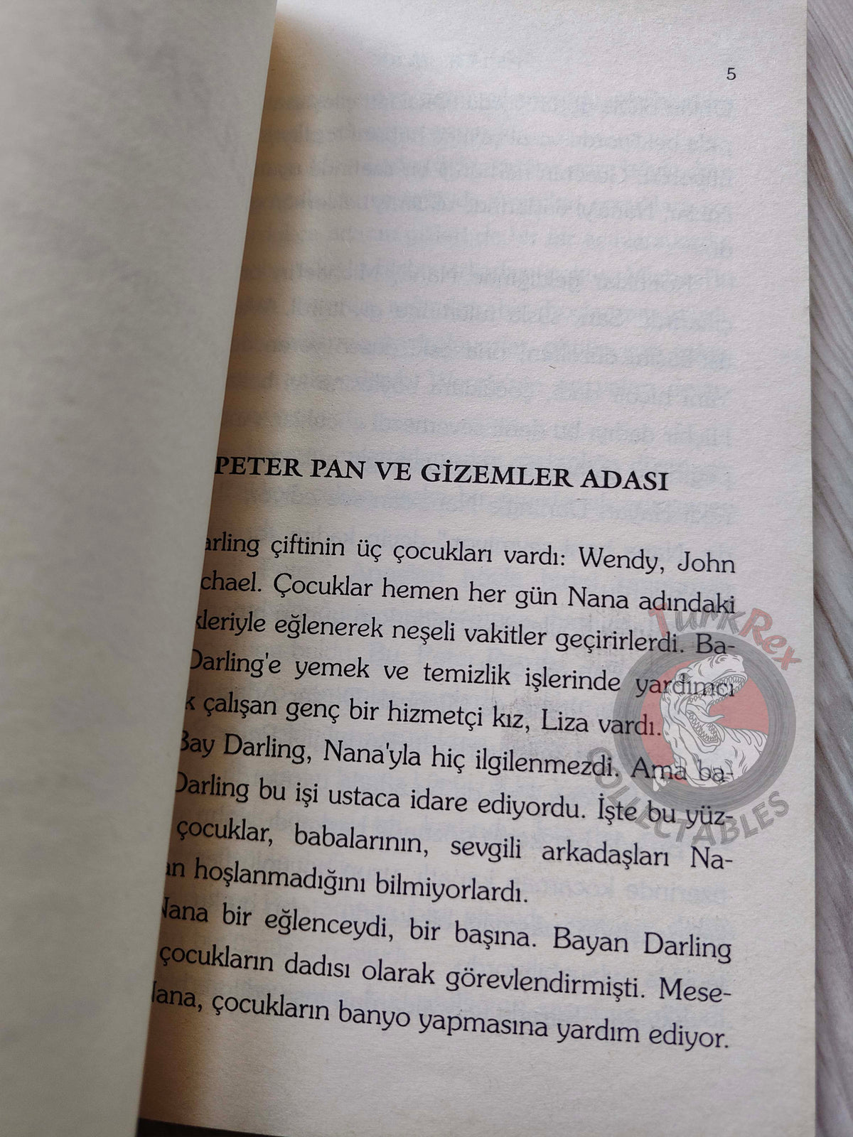 J. M. Barrie – Peter Pan 2005 Turkish Book Turkey 4