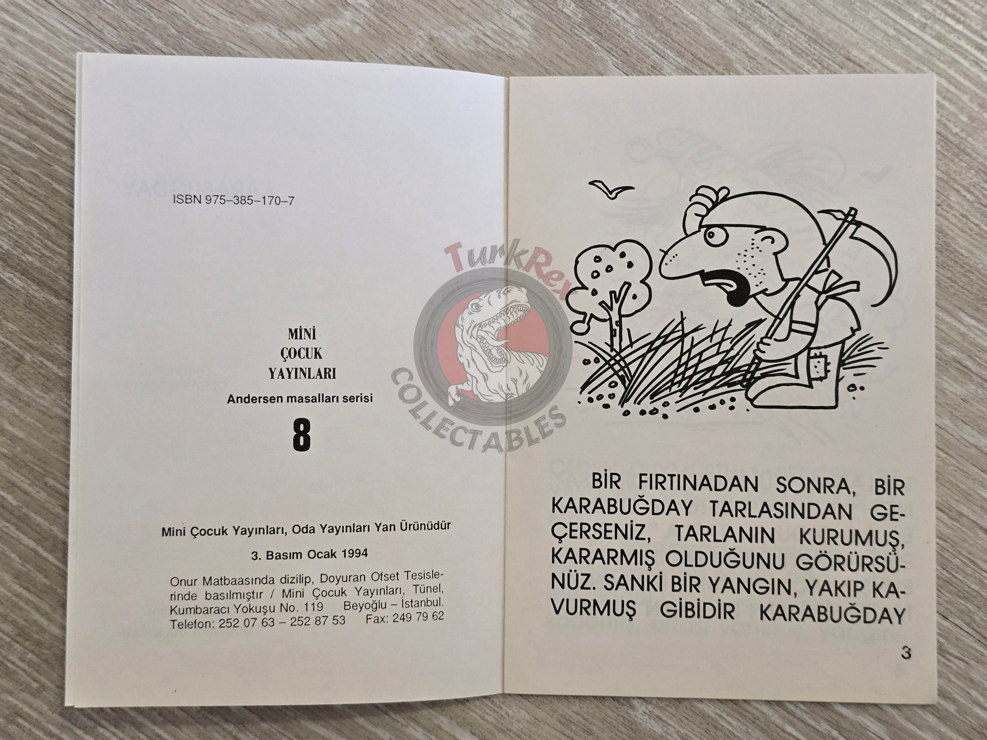 Hans Christian Andersen – The Buckwheat 1994 Turkish Book Turkey Illustrated