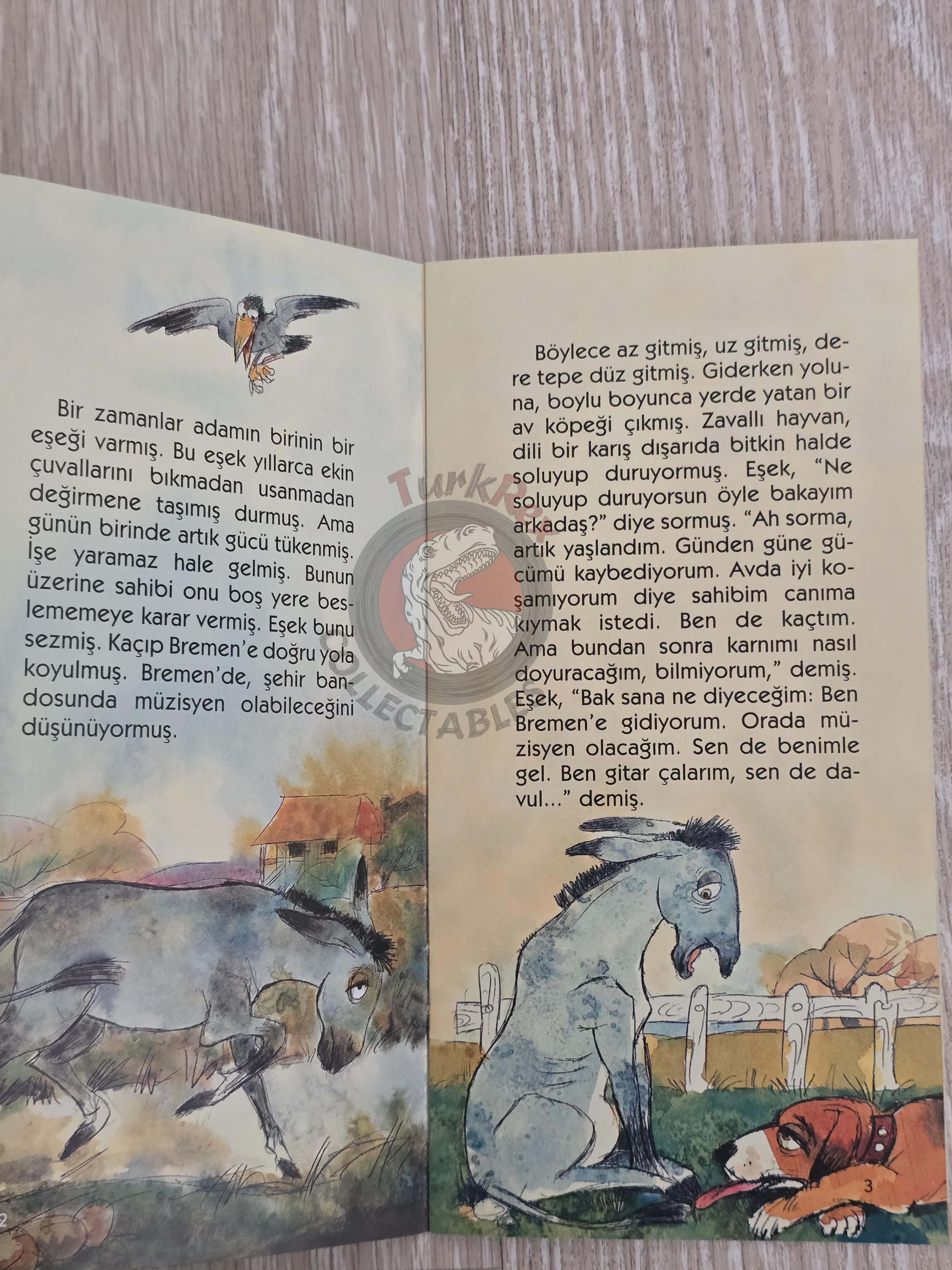 Grimm Brothers – Town Musicians of Bremen 2011 Turkish Book Turkey Illustrated 1