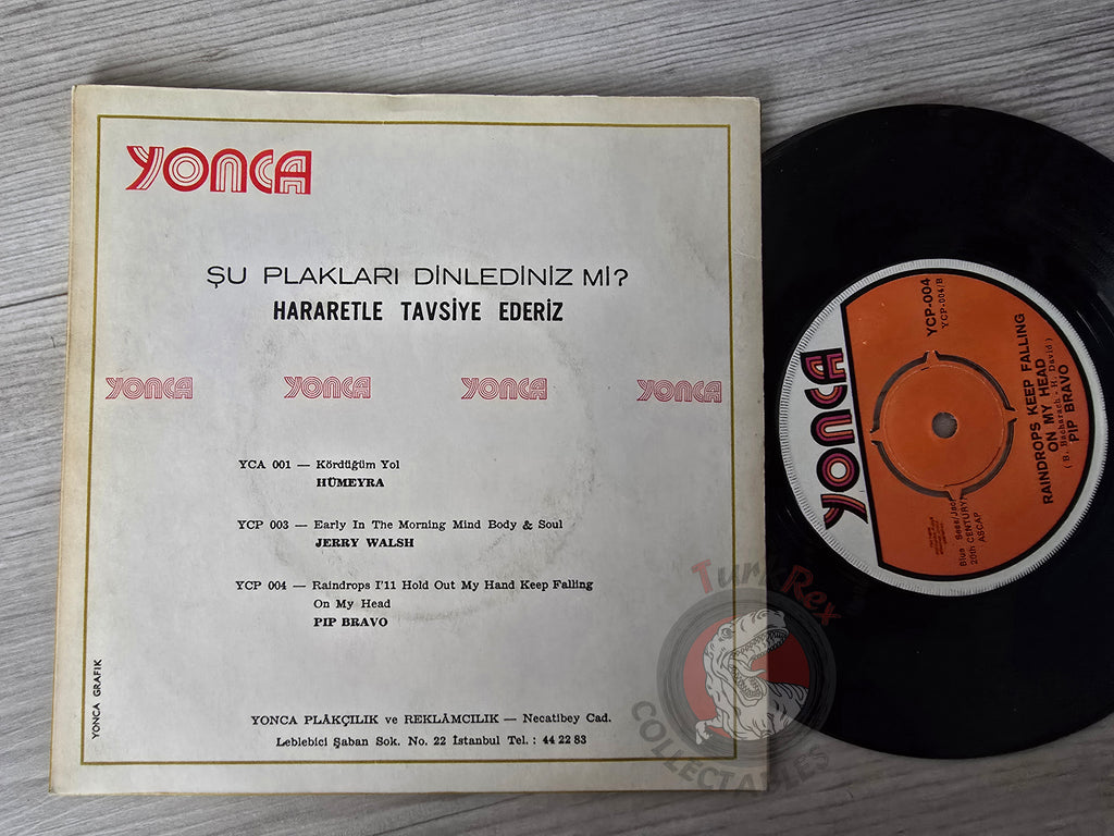 Pip Bravo – I'll Hold Out My Hand 7" Turkish Pressing Vinyl Turkey Edition