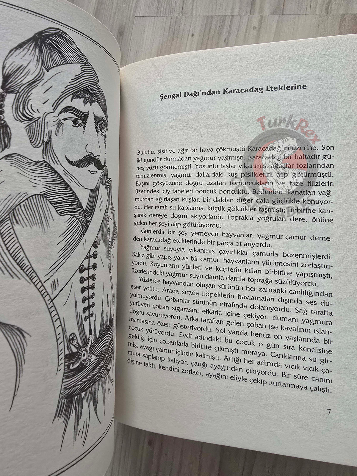 Bawer Ferat – Incurable Love: Dewresh and Adule 2002 Turkish Book Turkey