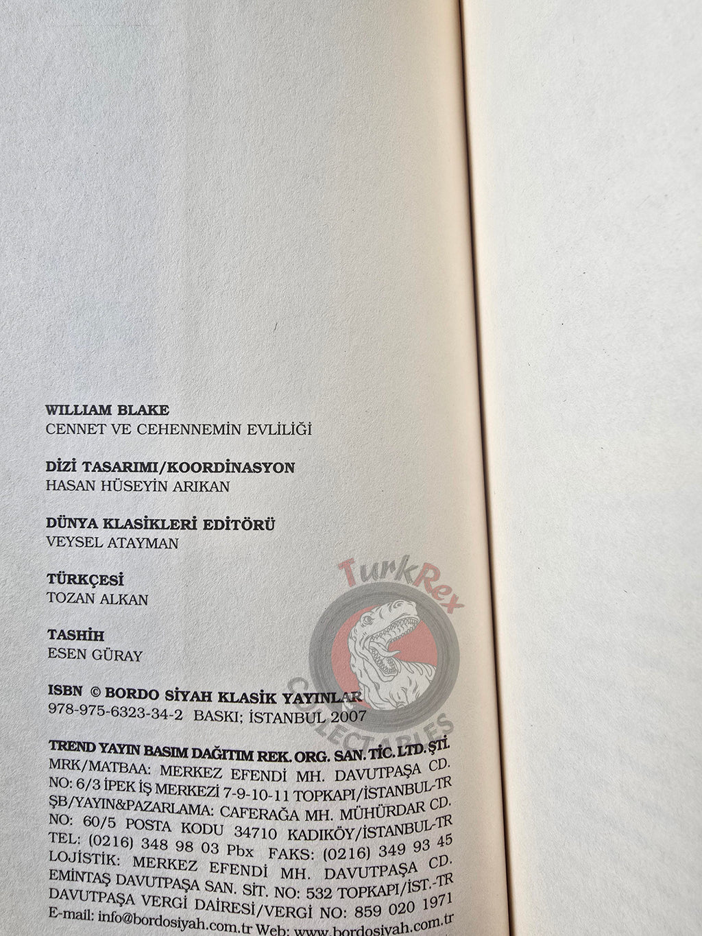 William Blake – The Marriage of Heaven and Hell 2007 Turkish Book Turkey