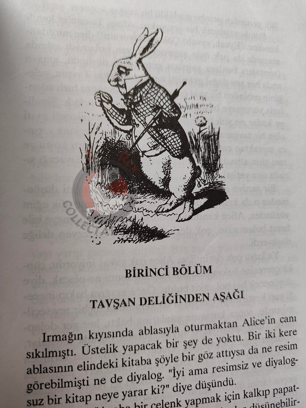 Lewis Carroll – Alice in Wonderland 2000 Turkish Book Turkey Illustrated John Tenniel