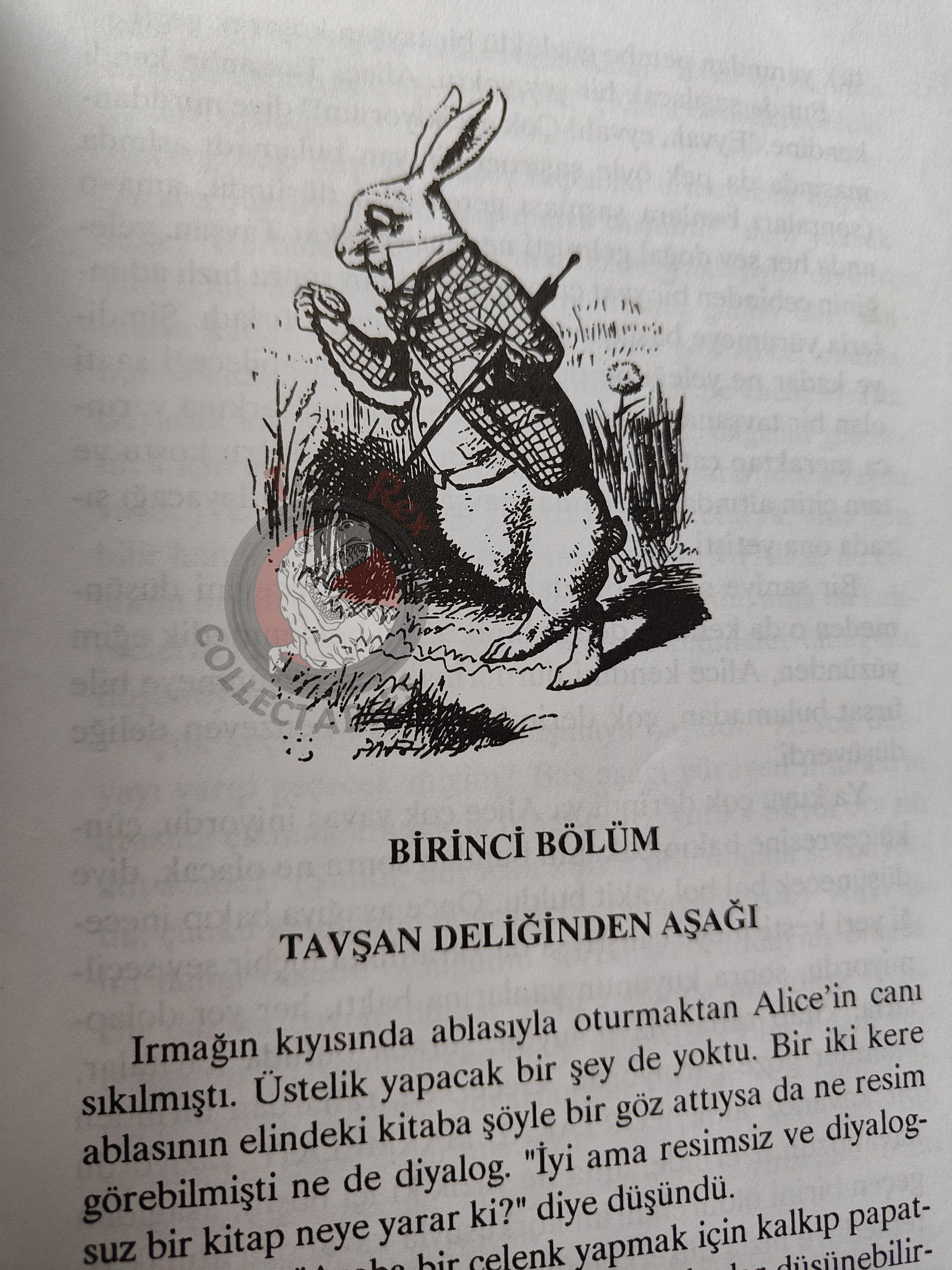 Lewis Carroll – Alice in Wonderland 2000 Turkish Book Turkey Illustrated John Tenniel