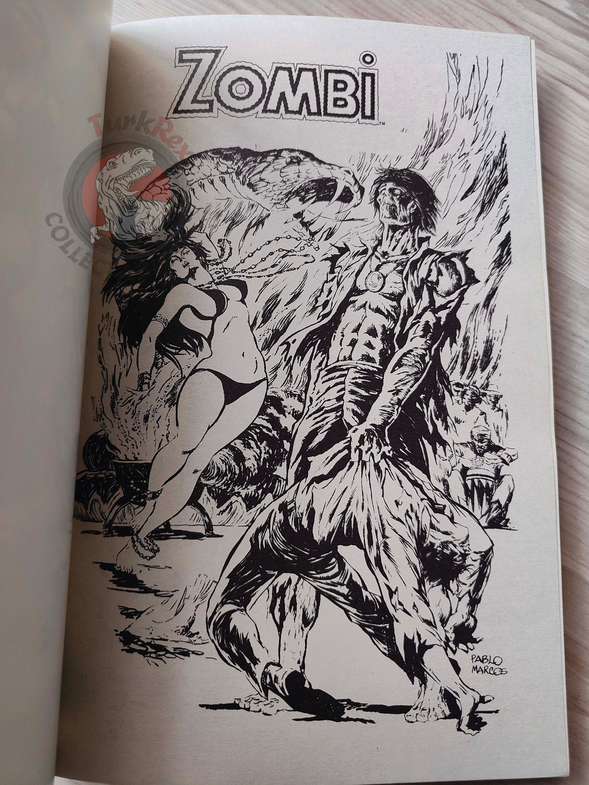 Tales of the Zombie Issue #1 to #9 2010 Turkish Comic Turkey Essential #1