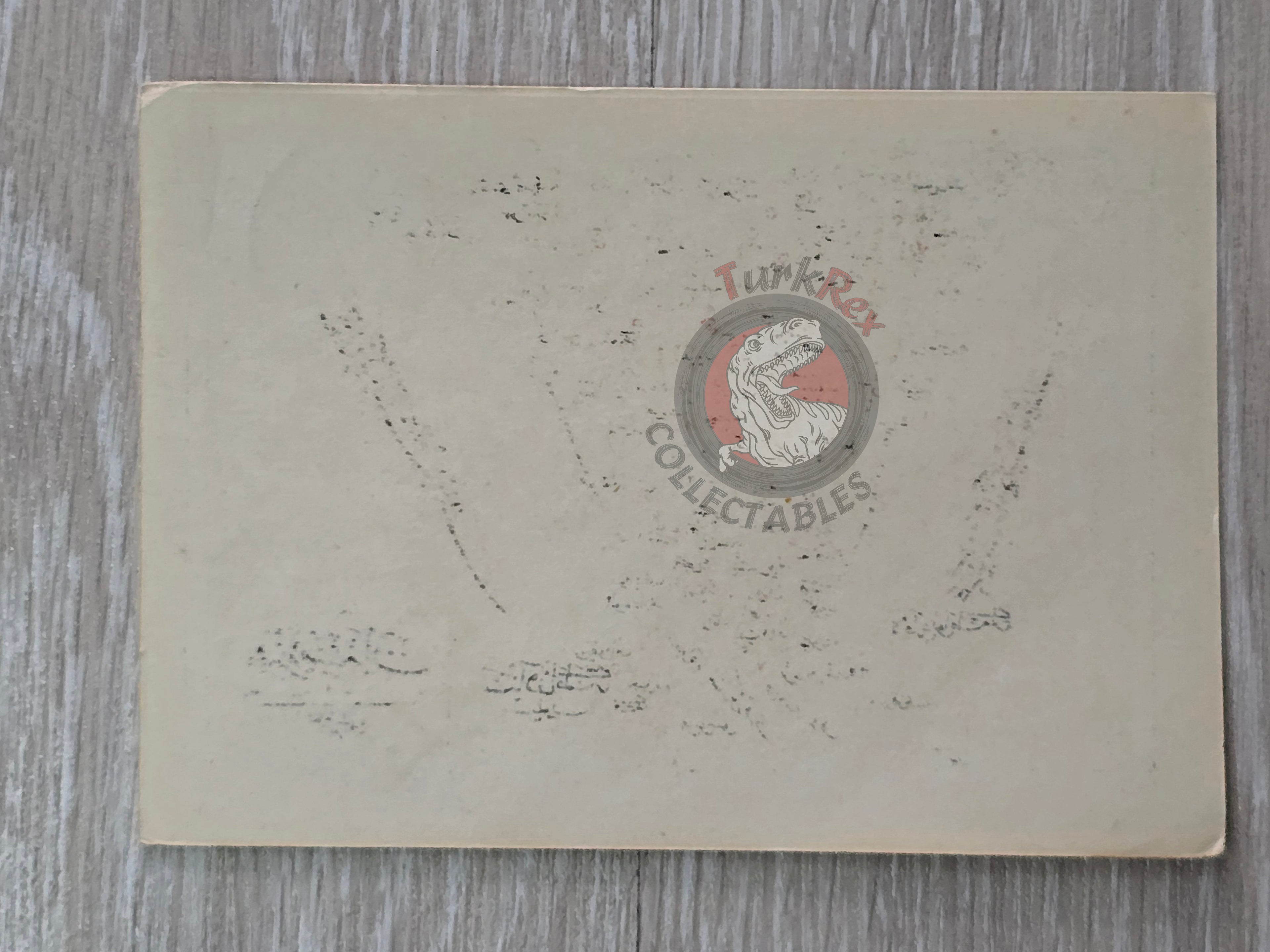 India and Sri Lanka 1907 Ottoman Atlas Map Empire Mehmed Eşref