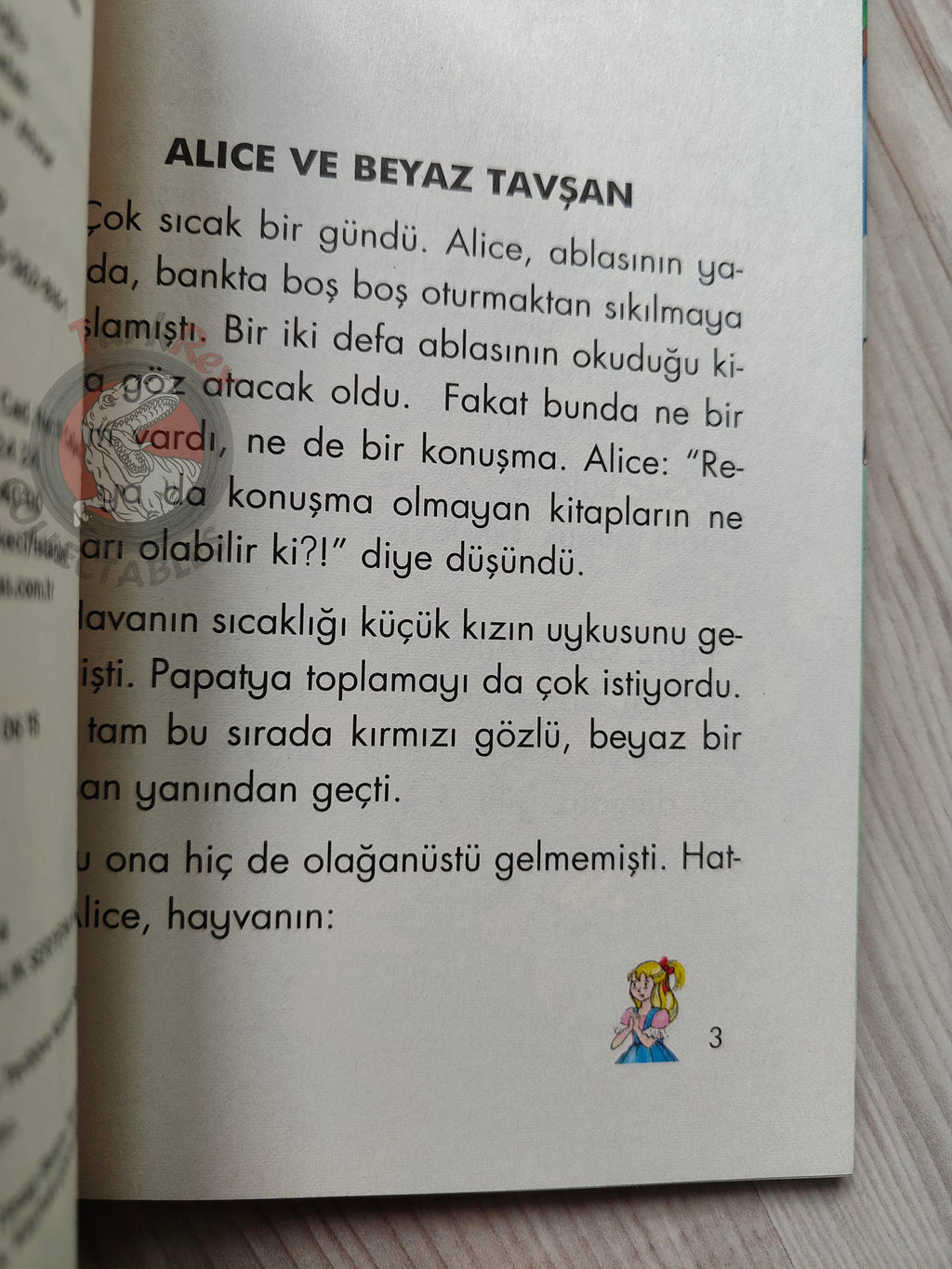 Lewis Carroll – Alice in Wonderland 2009 Turkish Book Turkey Illustrated Gülinaz