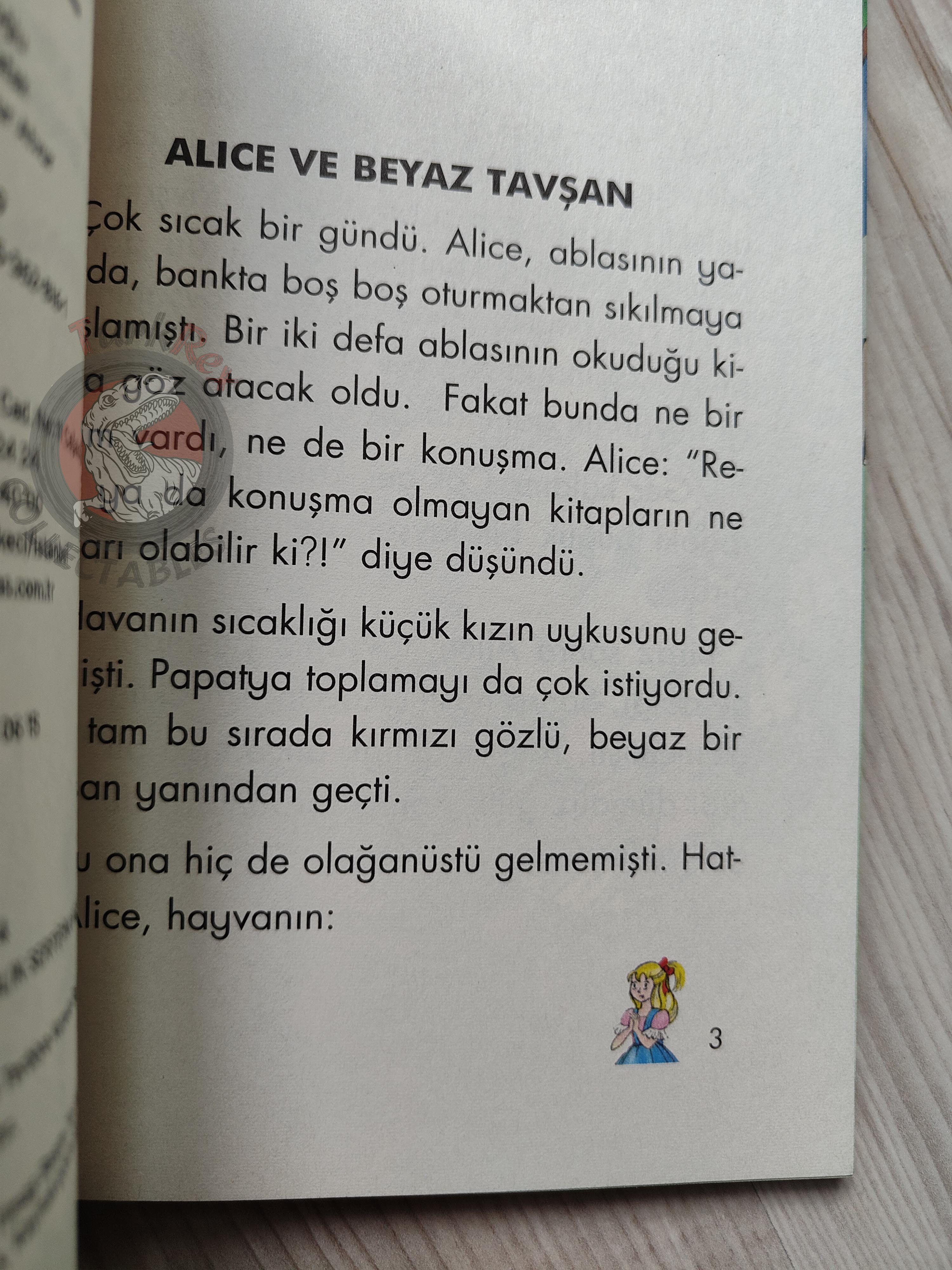 Lewis Carroll – Alice in Wonderland 2009 Turkish Book Turkey Illustrated Gülinaz