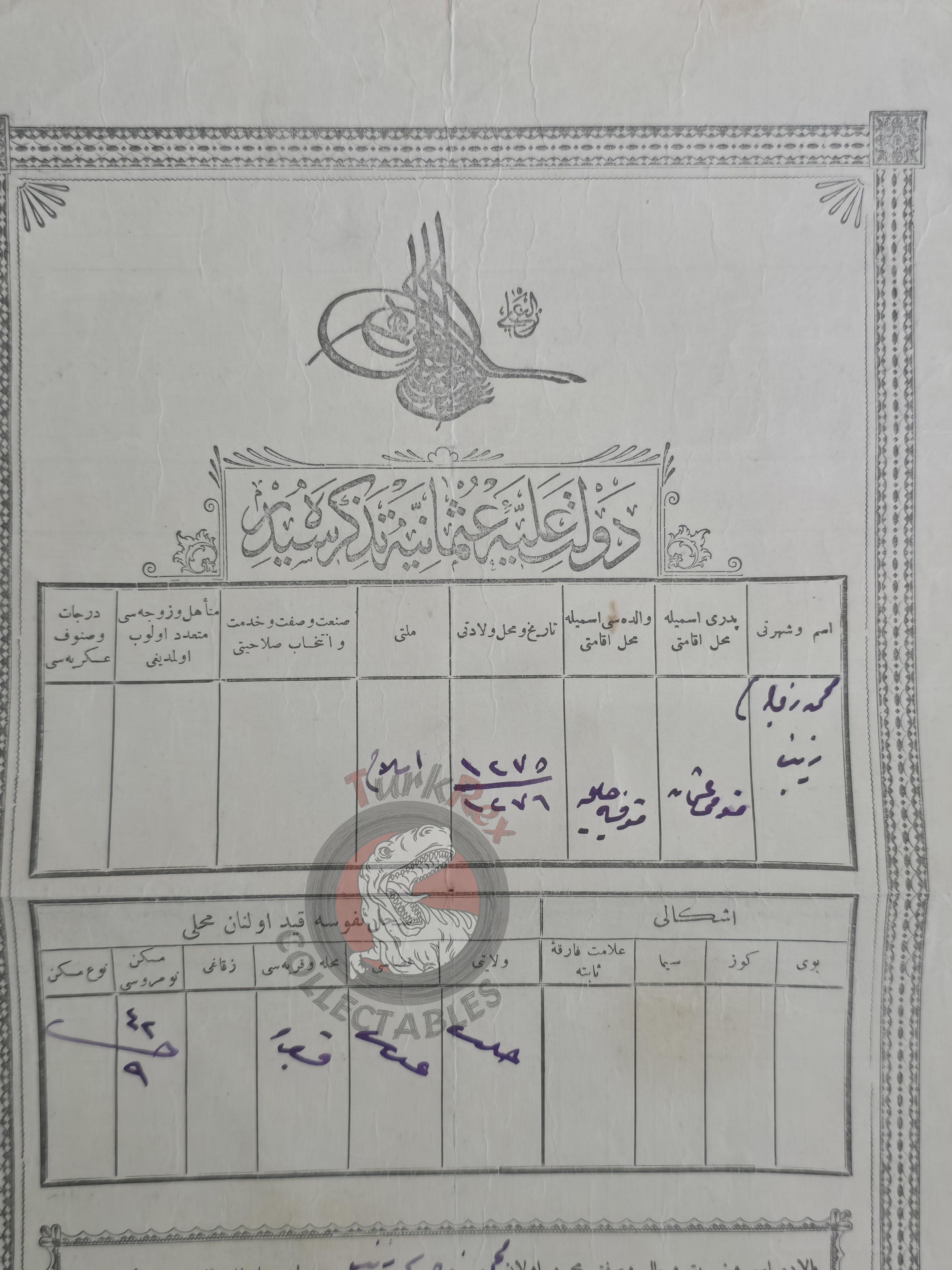 Ottoman Identity Document 1905 Gaziantep Muslim Female Citizen Zeynep