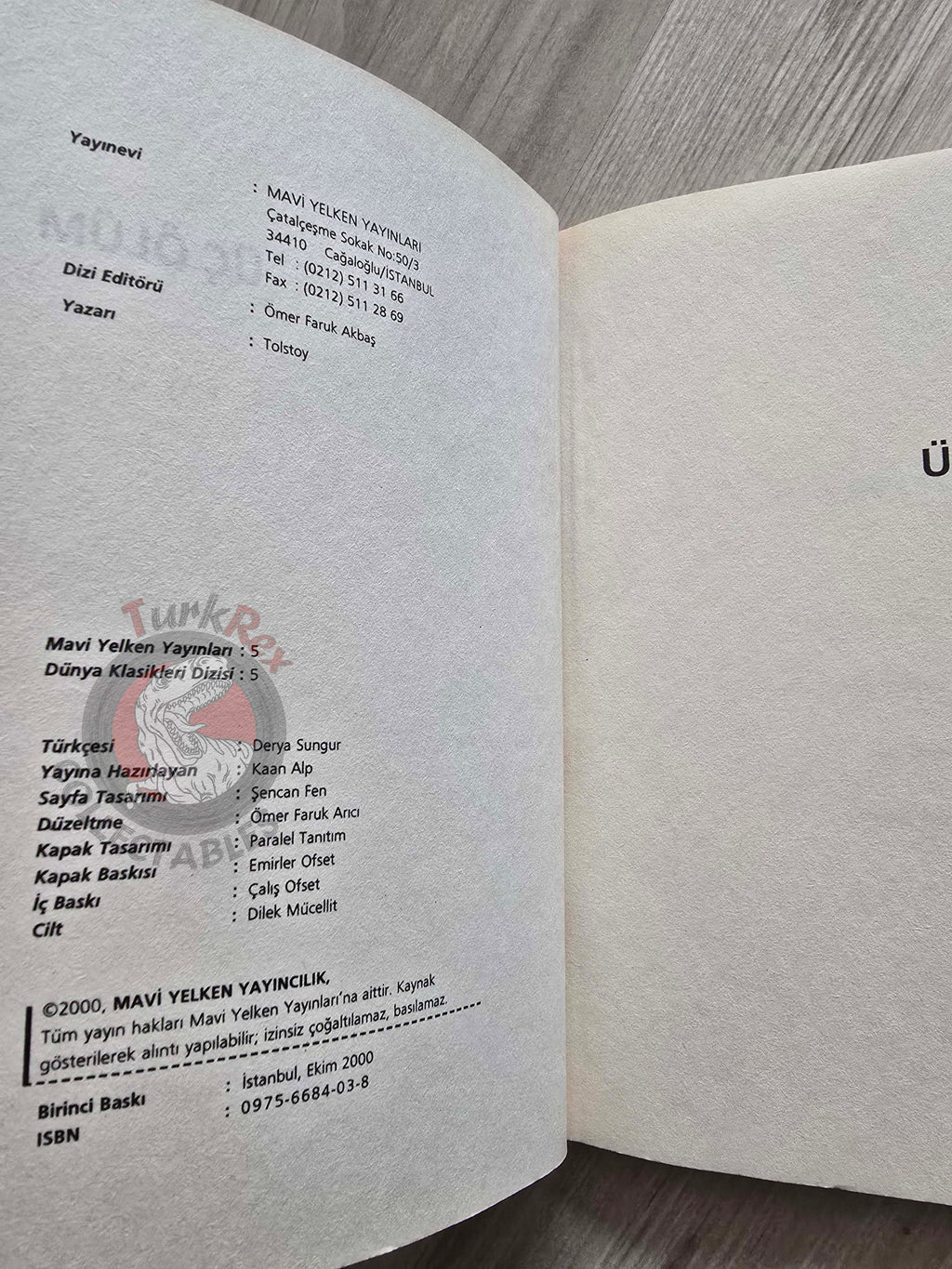 Leo Tolstoy –  Three Deaths 2000 Turkish Book Turkey