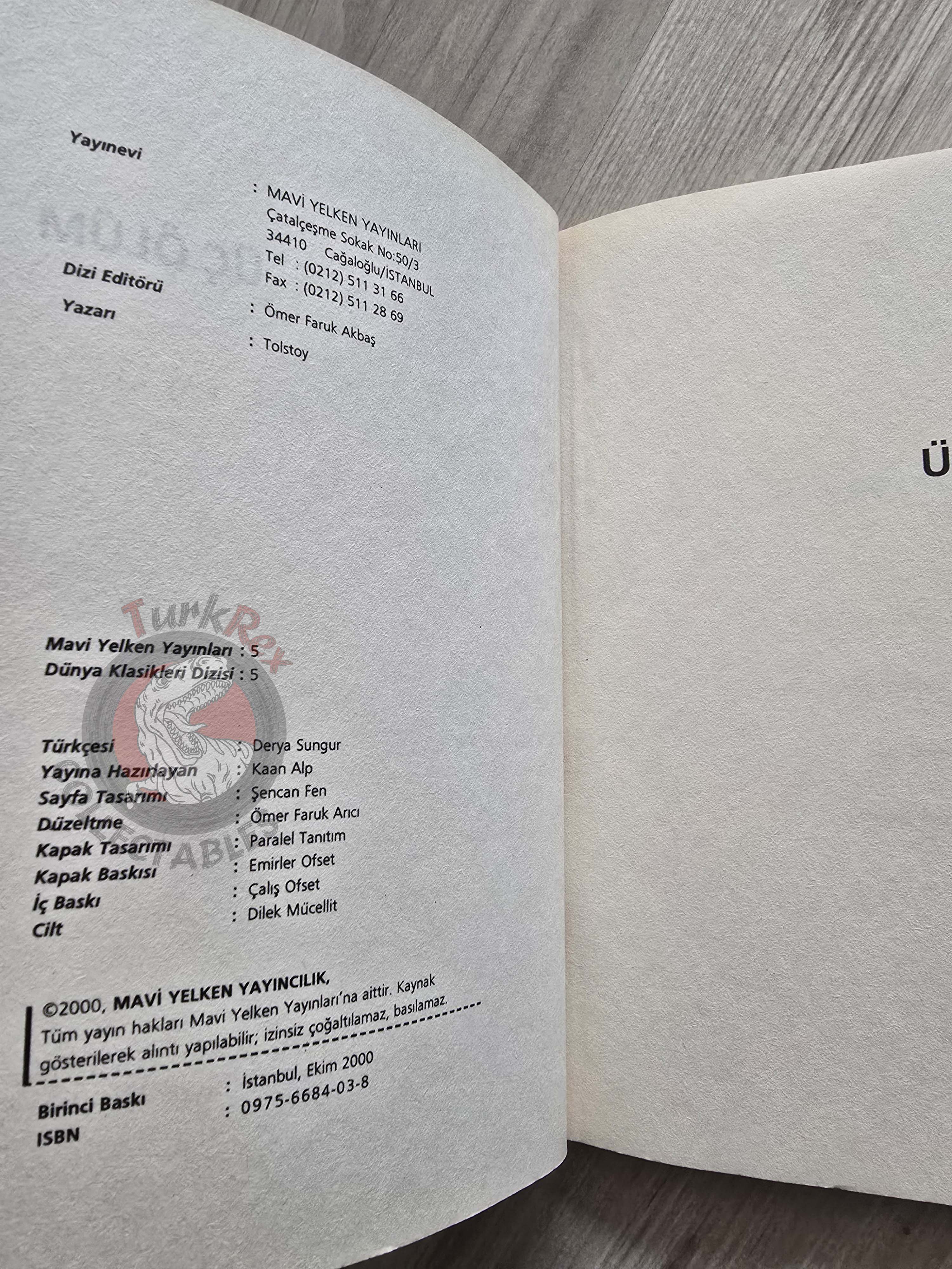 Leo Tolstoy –  Three Deaths 2000 Turkish Book Turkey