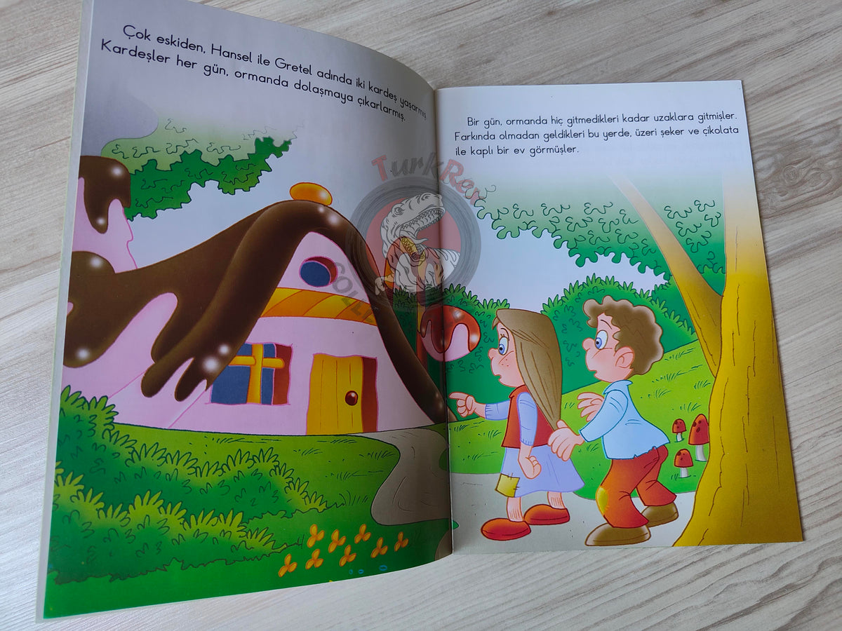 Grimm Brothers –  Hansel and Gretel 2011 Turkish Book Turkey Illustrated