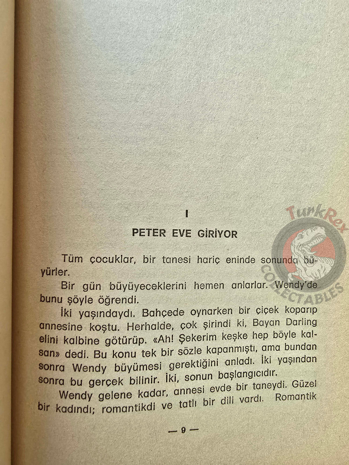 J. M. Barrie – Peter Pan 1976 Turkish Book Turkey Illustrated