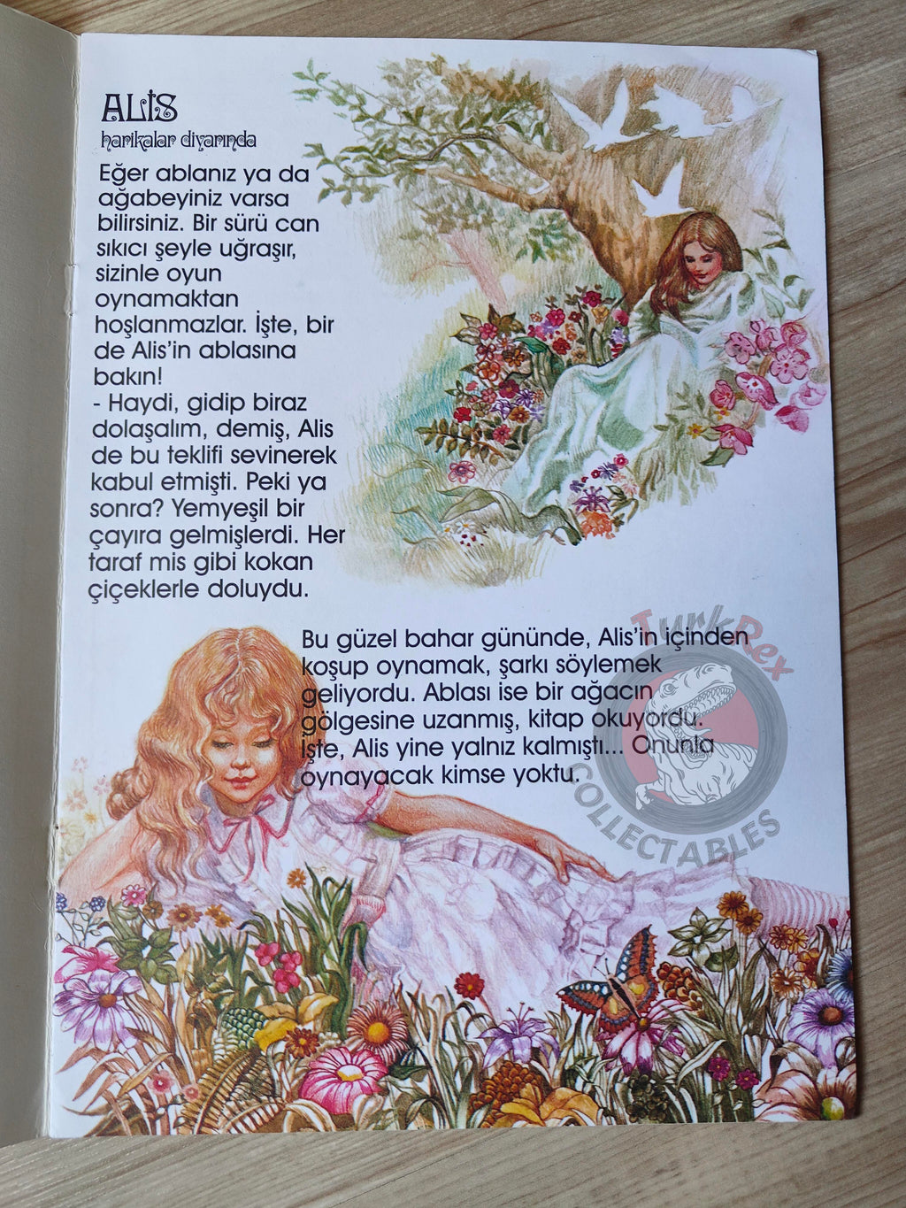 Lewis Carroll – Alice in Wonderland 2002 Turkish Book Turkey Illustrated Serenella Del Vita