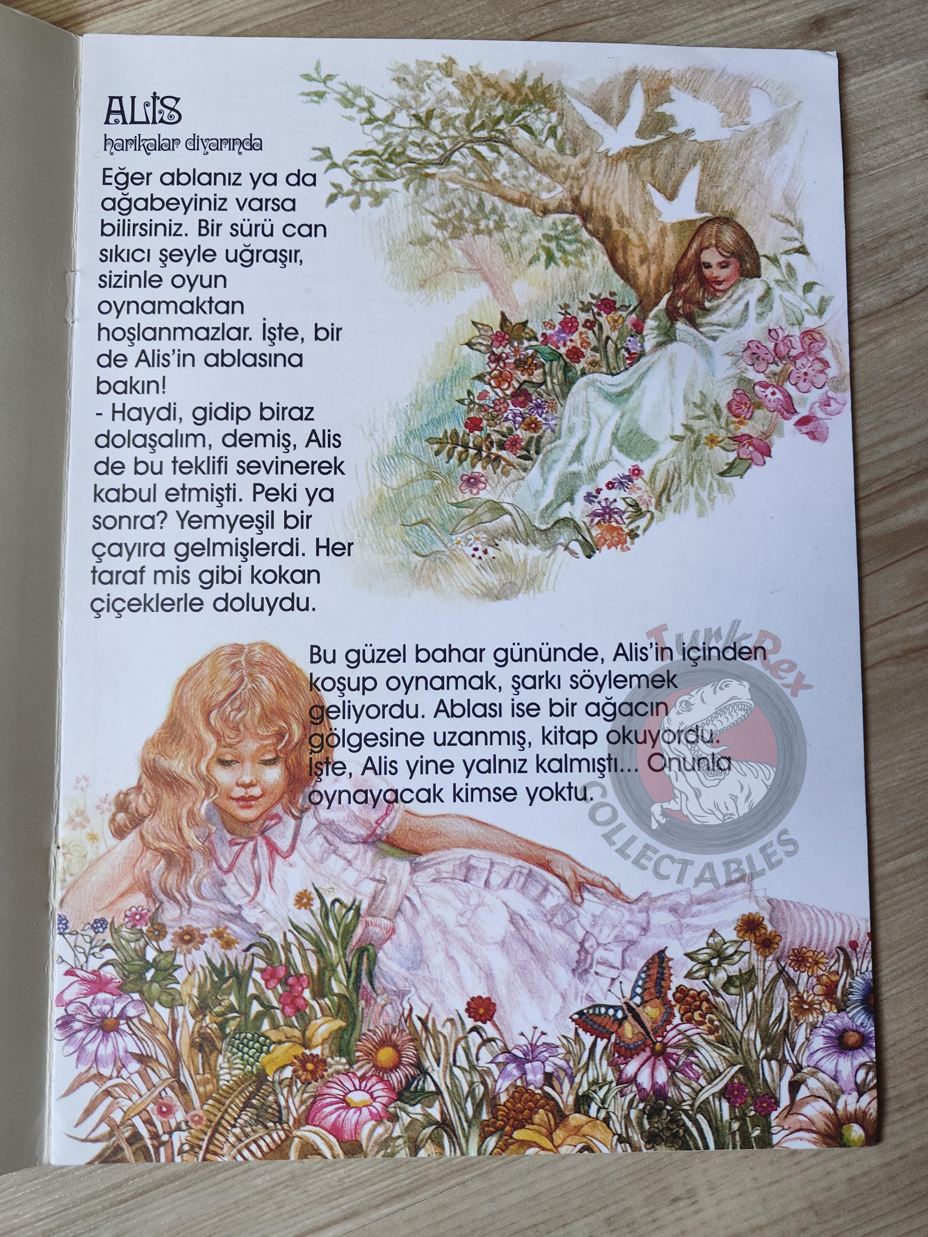Lewis Carroll – Alice in Wonderland 2002 Turkish Book Turkey Illustrated Serenella Del Vita