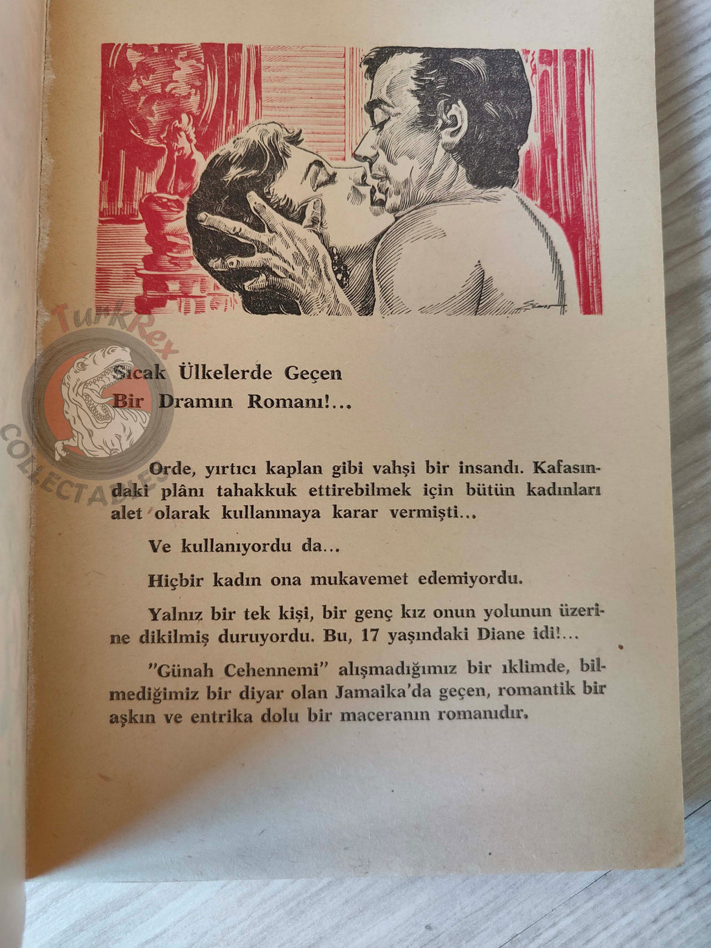 Herbert Best – Diane 1963 1st Turkish Book Turkey