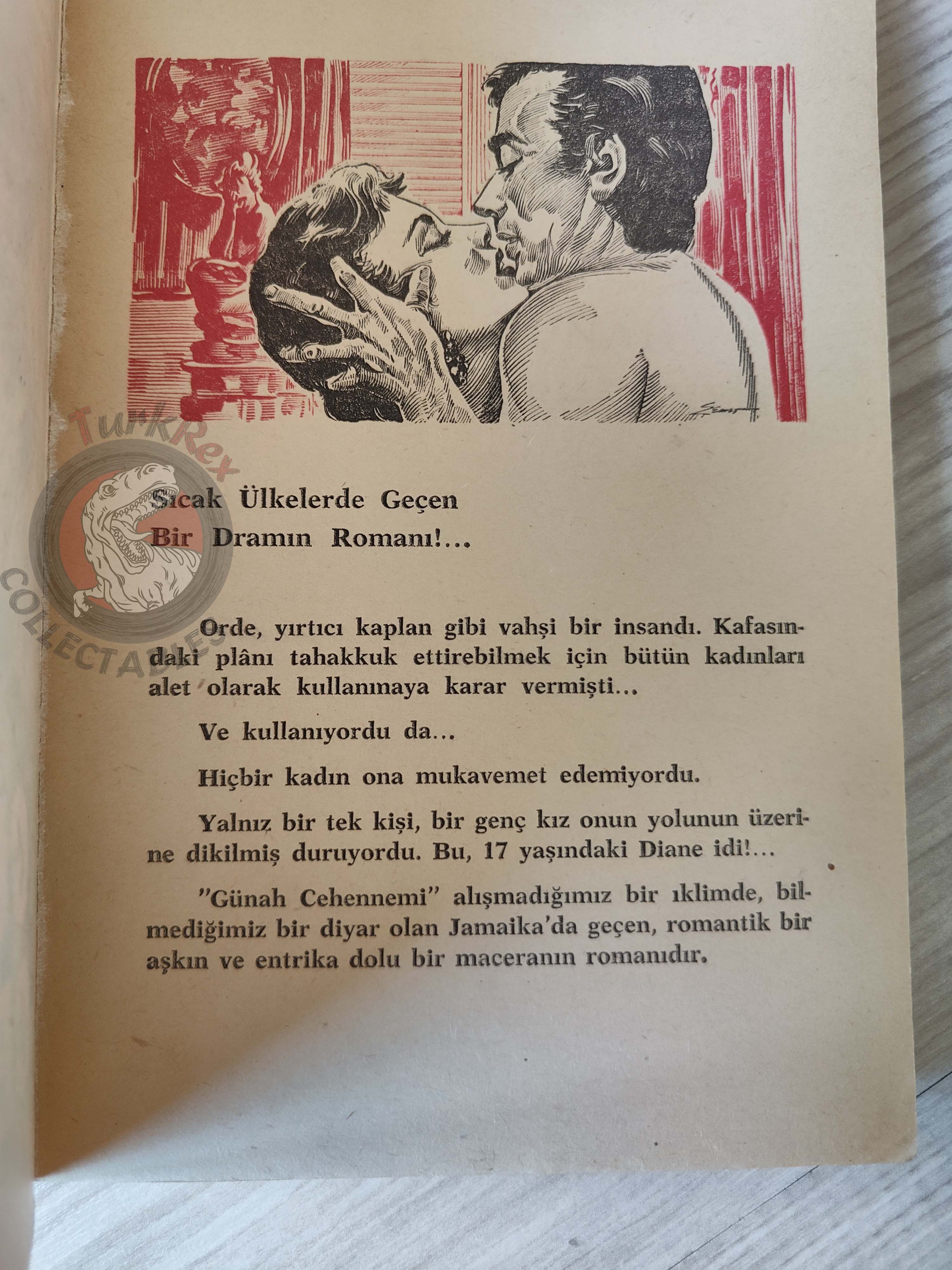Herbert Best – Diane 1963 1st Turkish Book Turkey