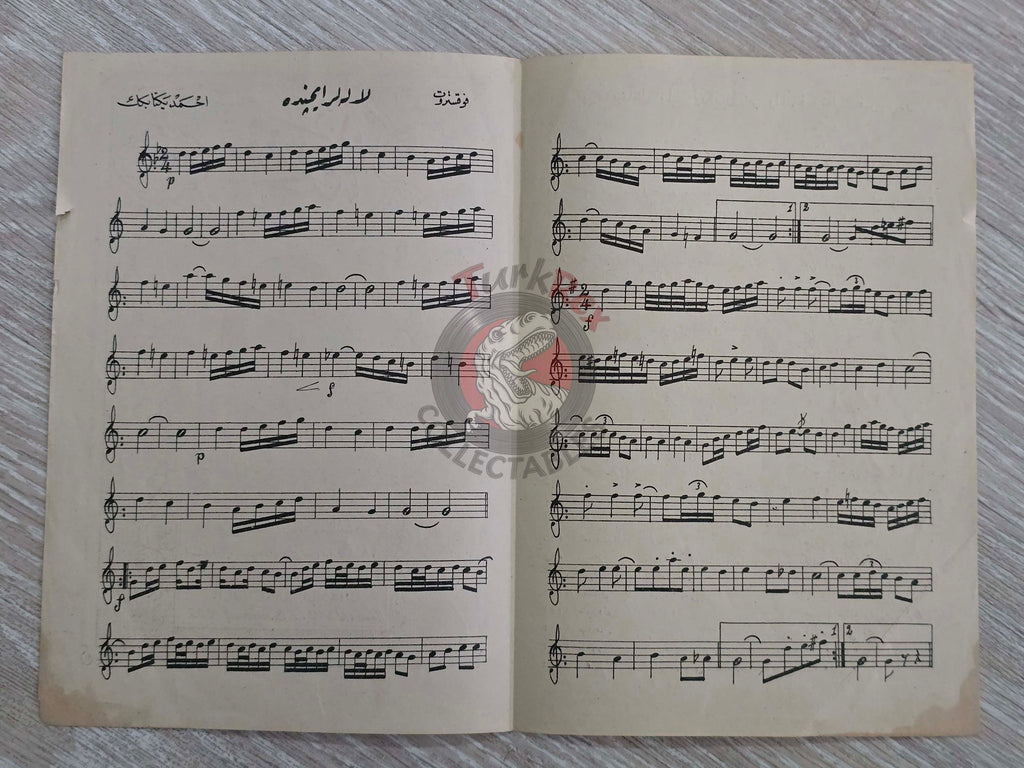 Ahmed Yekta Bey – Laleler İçinde Ottoman Turkish 1920s Musical Notes Sheet Empire