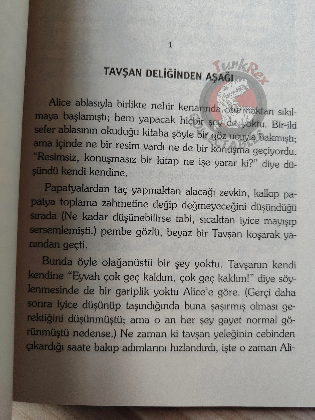 Lewis Carroll – Alice in Wonderland 2004 Turkish Book Turkey Illustrated