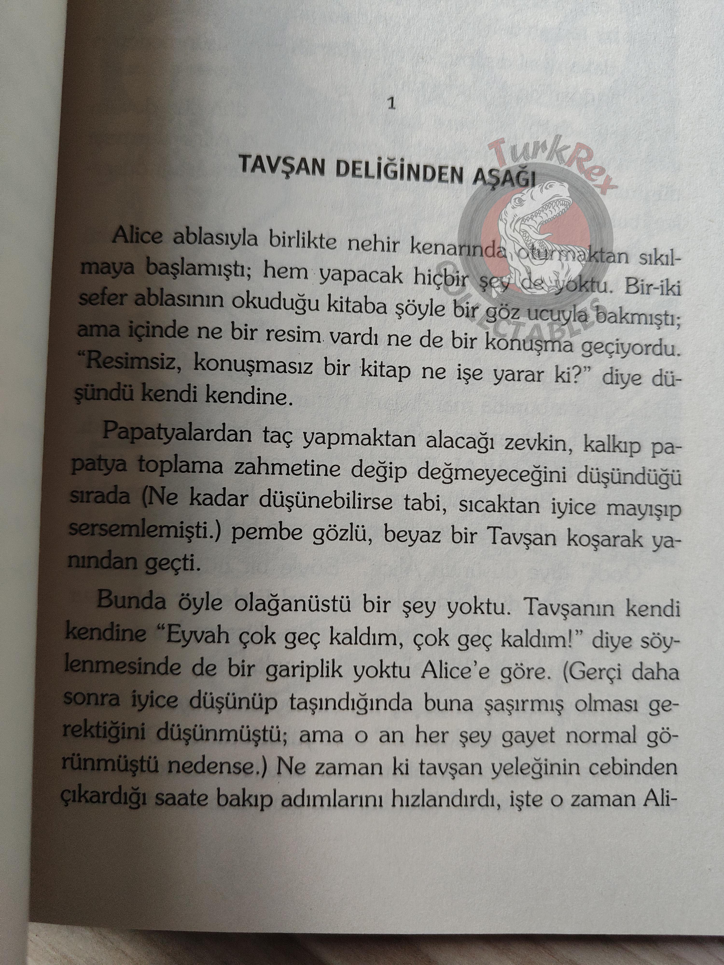Lewis Carroll – Alice in Wonderland 2004 Turkish Book Turkey Illustrated
