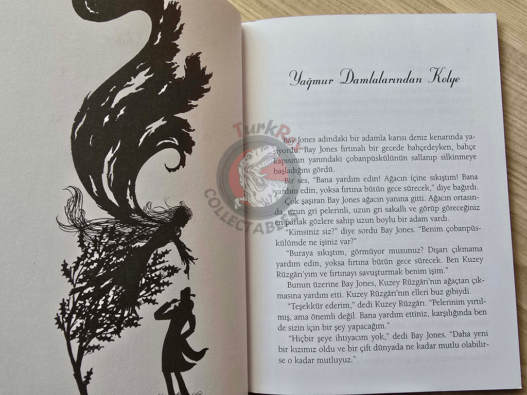 Joan Aiken – A Necklace of Raindrops 2011 1st Turkish Book Turkey Illustrated