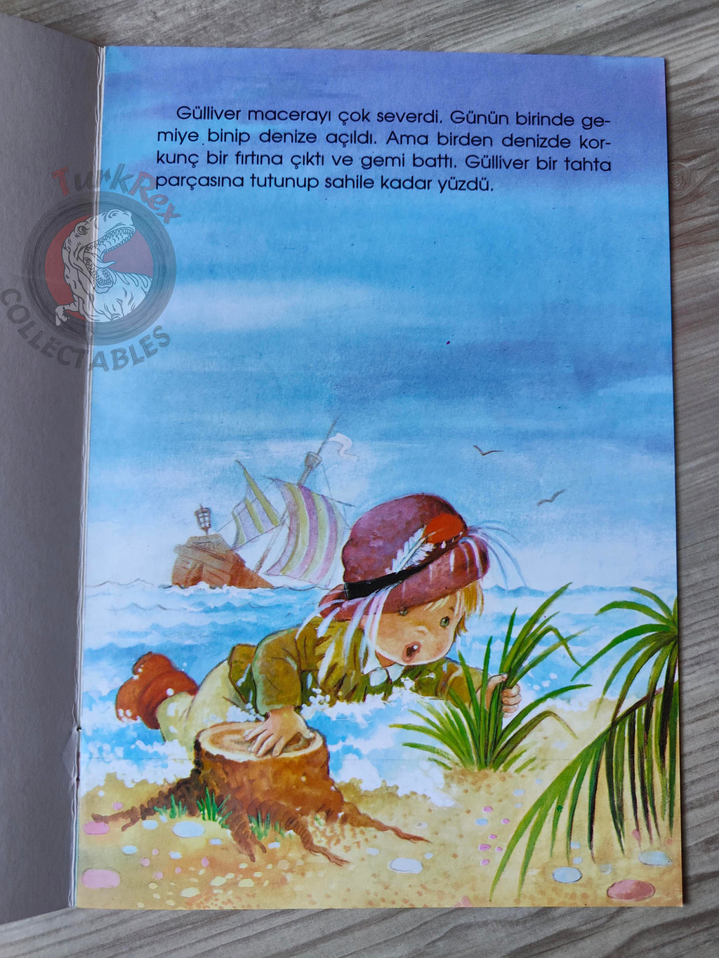 Jonathan Swift – Gulliver's Travels 2006 Turkish Book Turkey Illustrated Maria Pascual